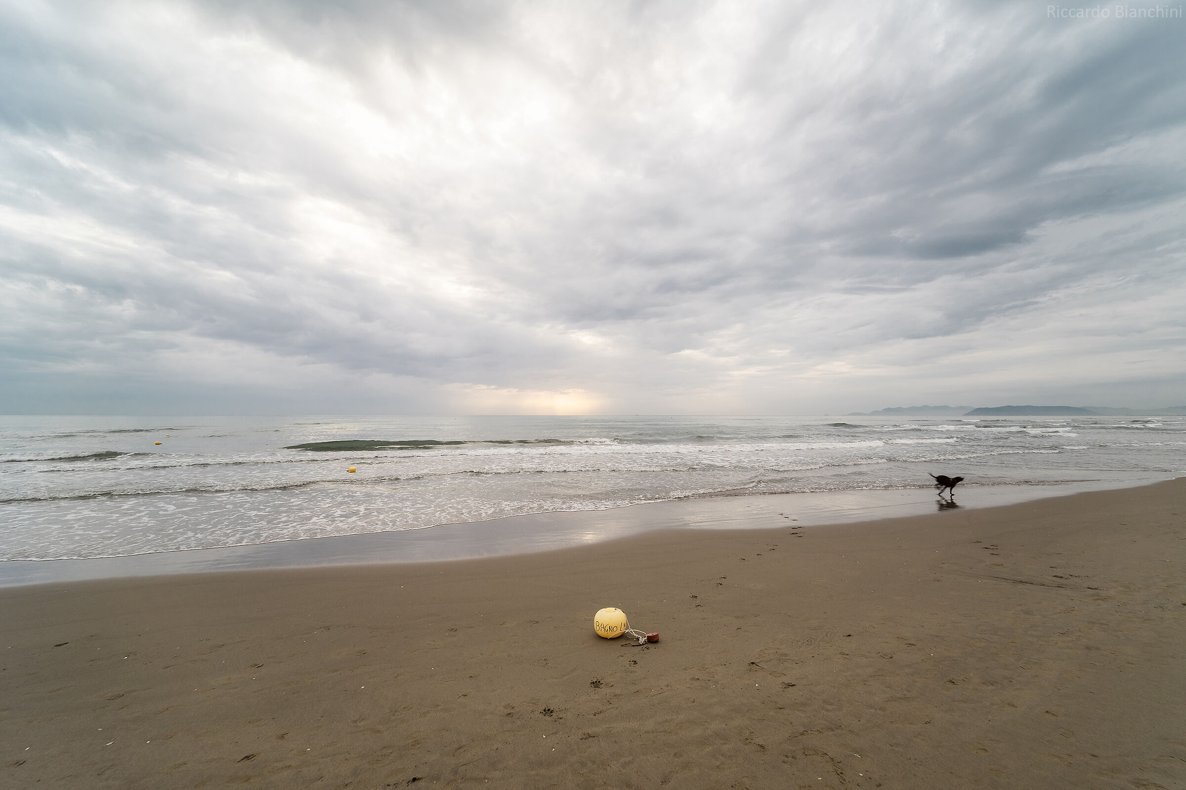 Pietrasanta, spiaggia con boa e cane