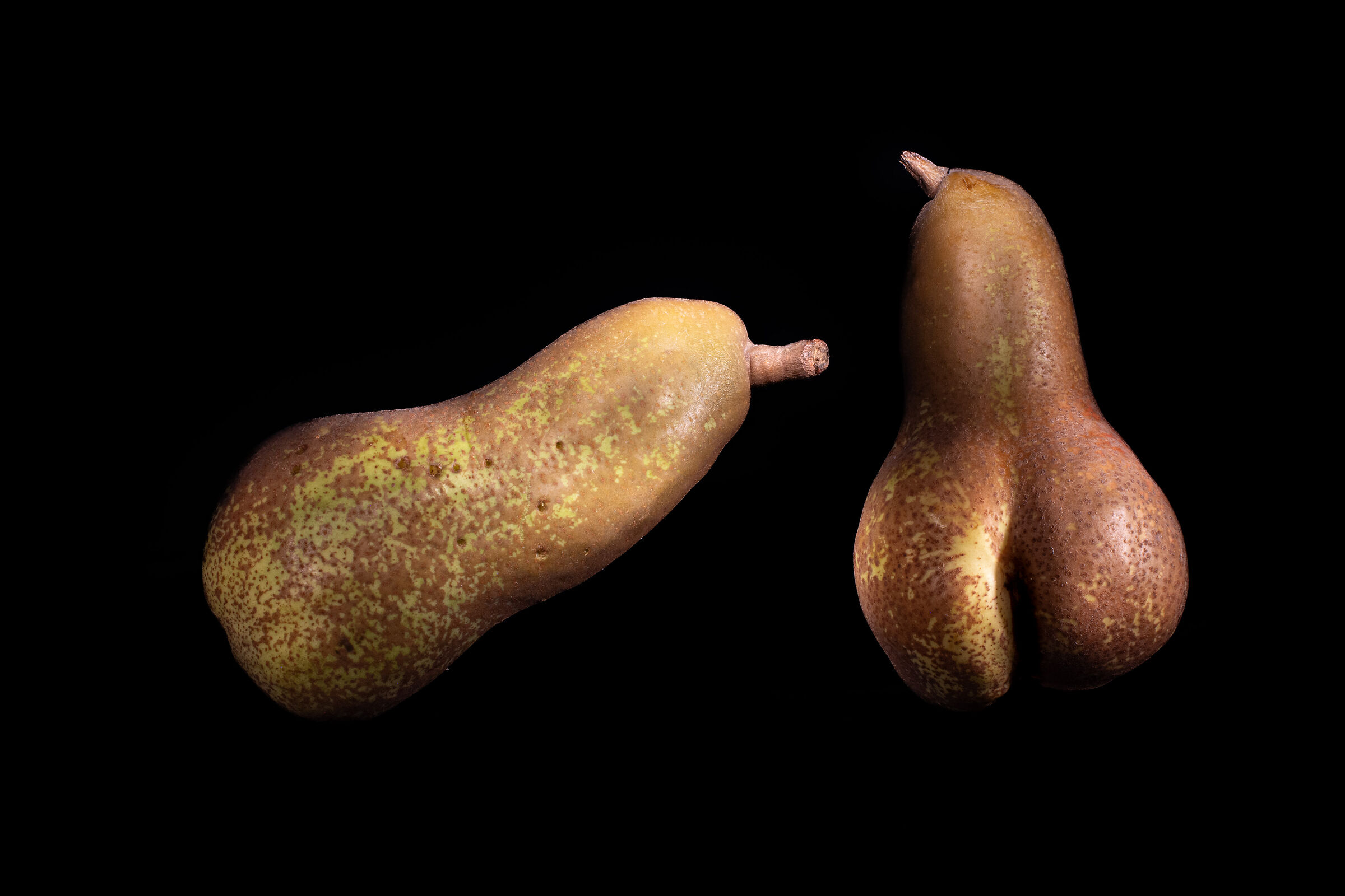 La bella e il guardone