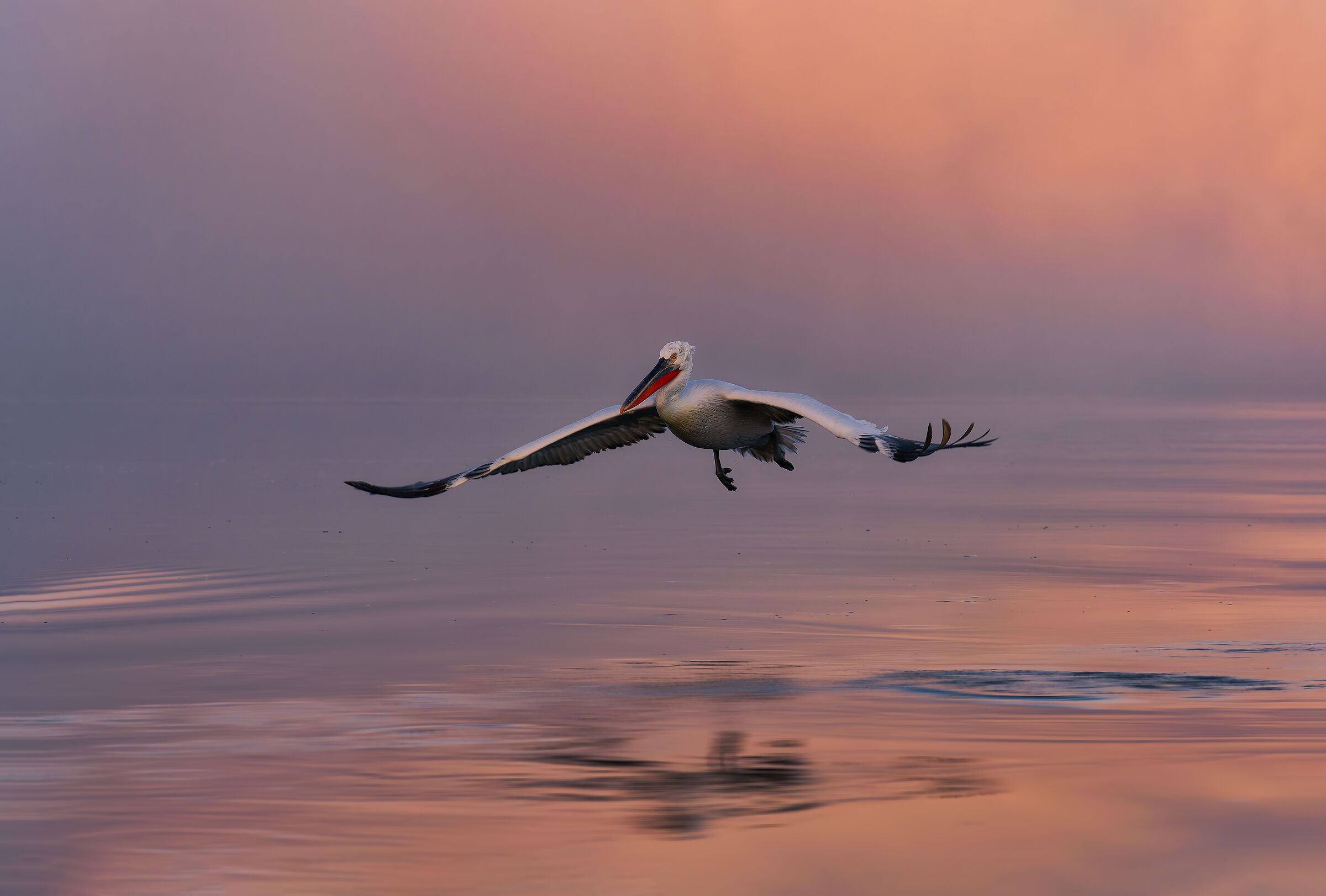 The dawn of a new day at Kerkini