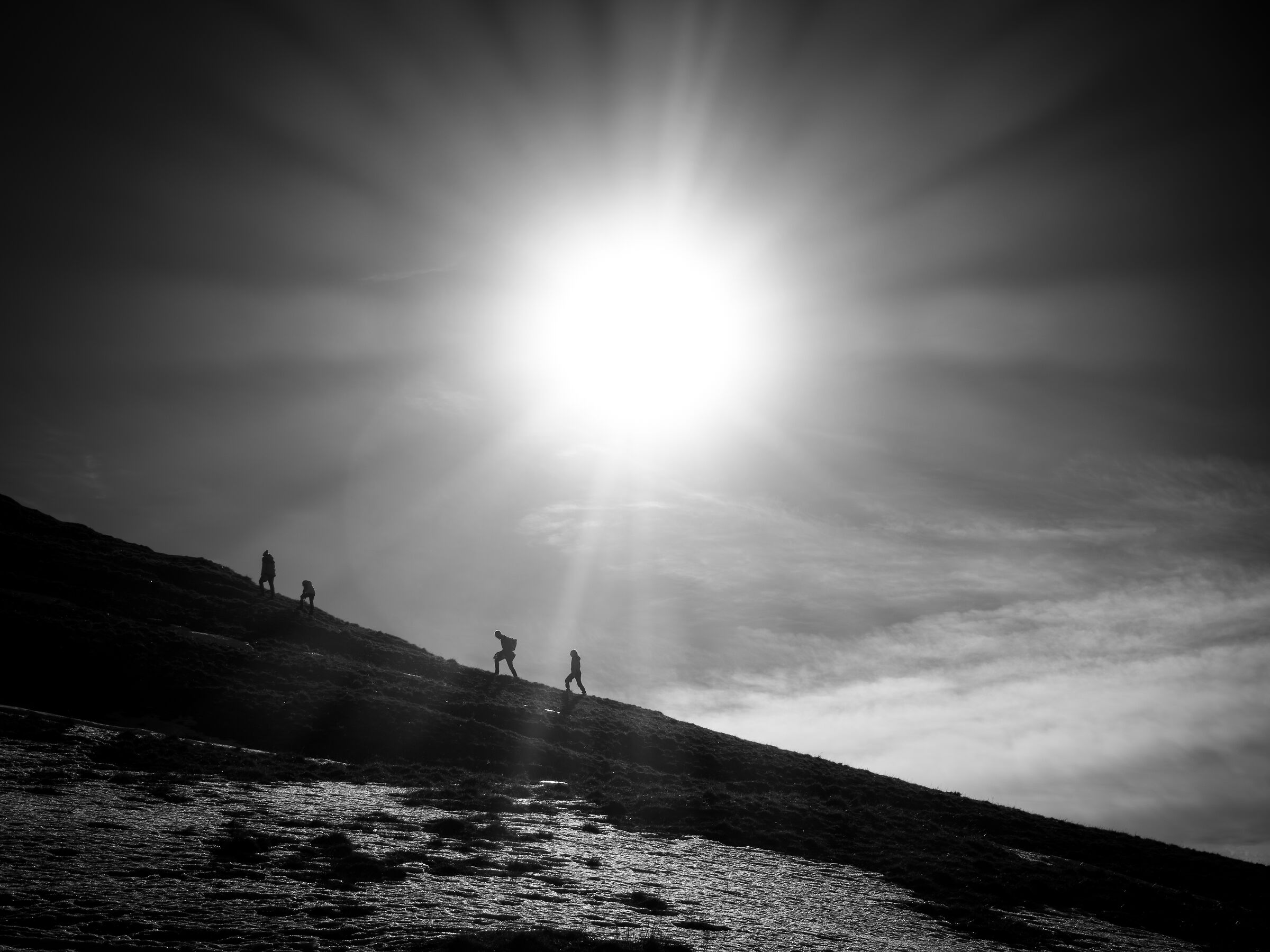 Shadows