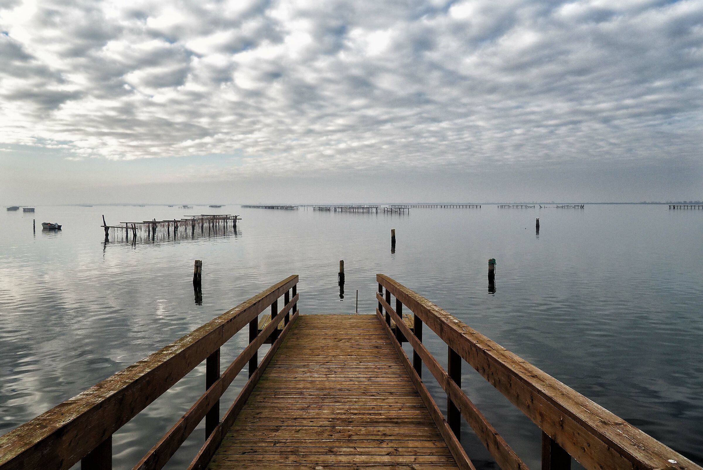 Sac of the Scardovari