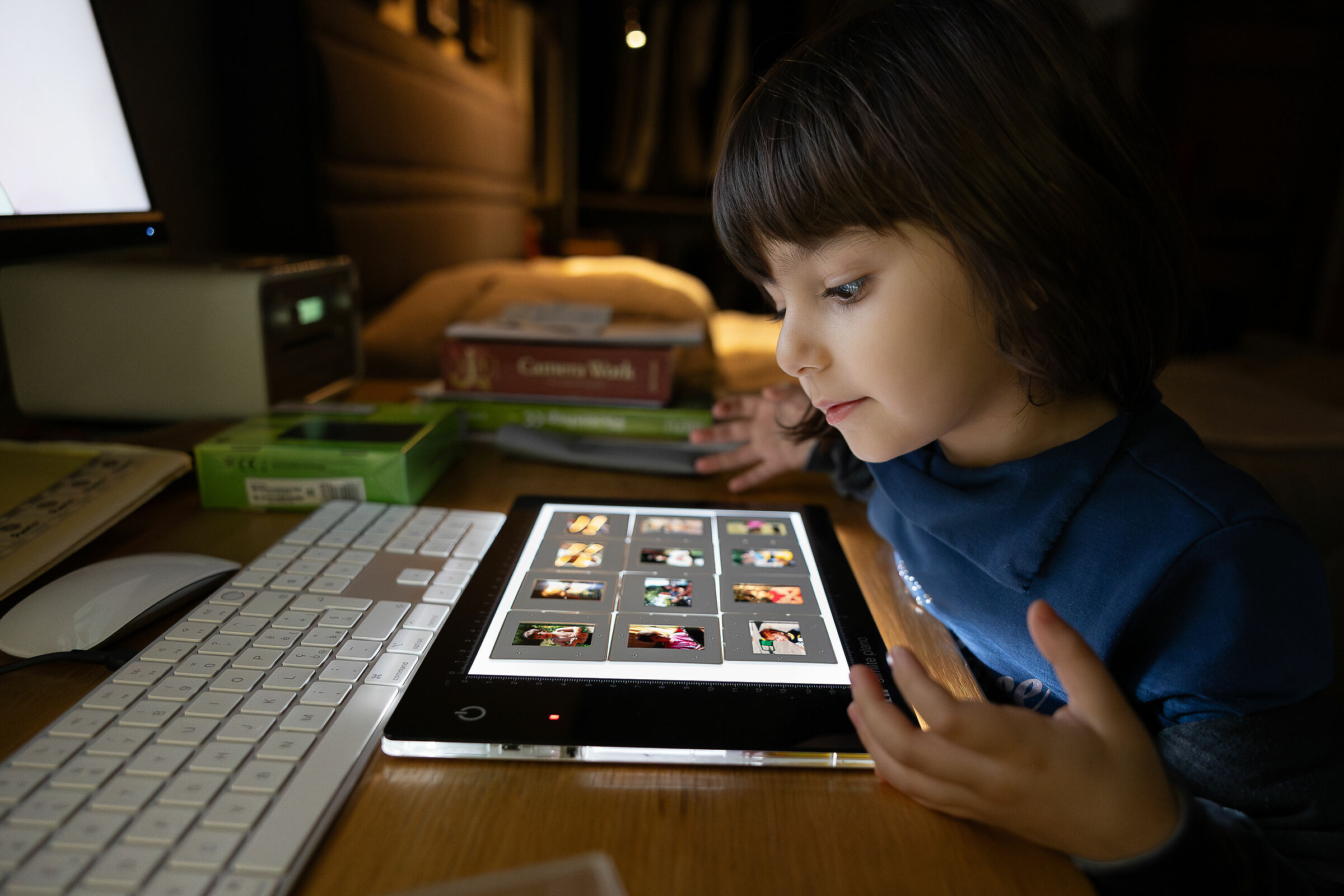 Il piacere di osservare le dia