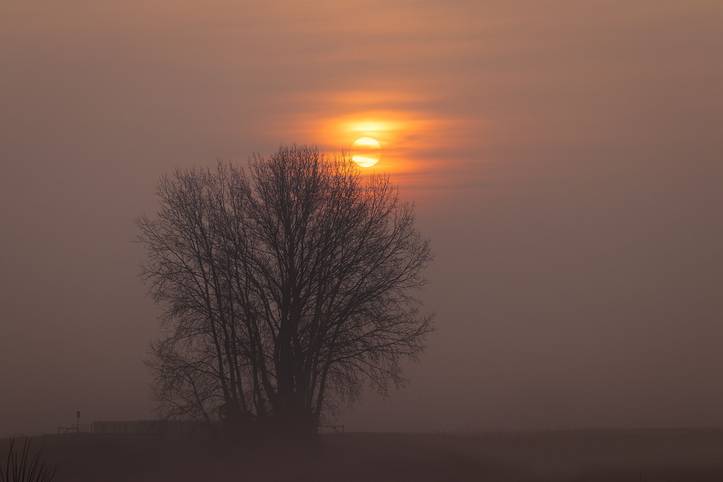 dawn