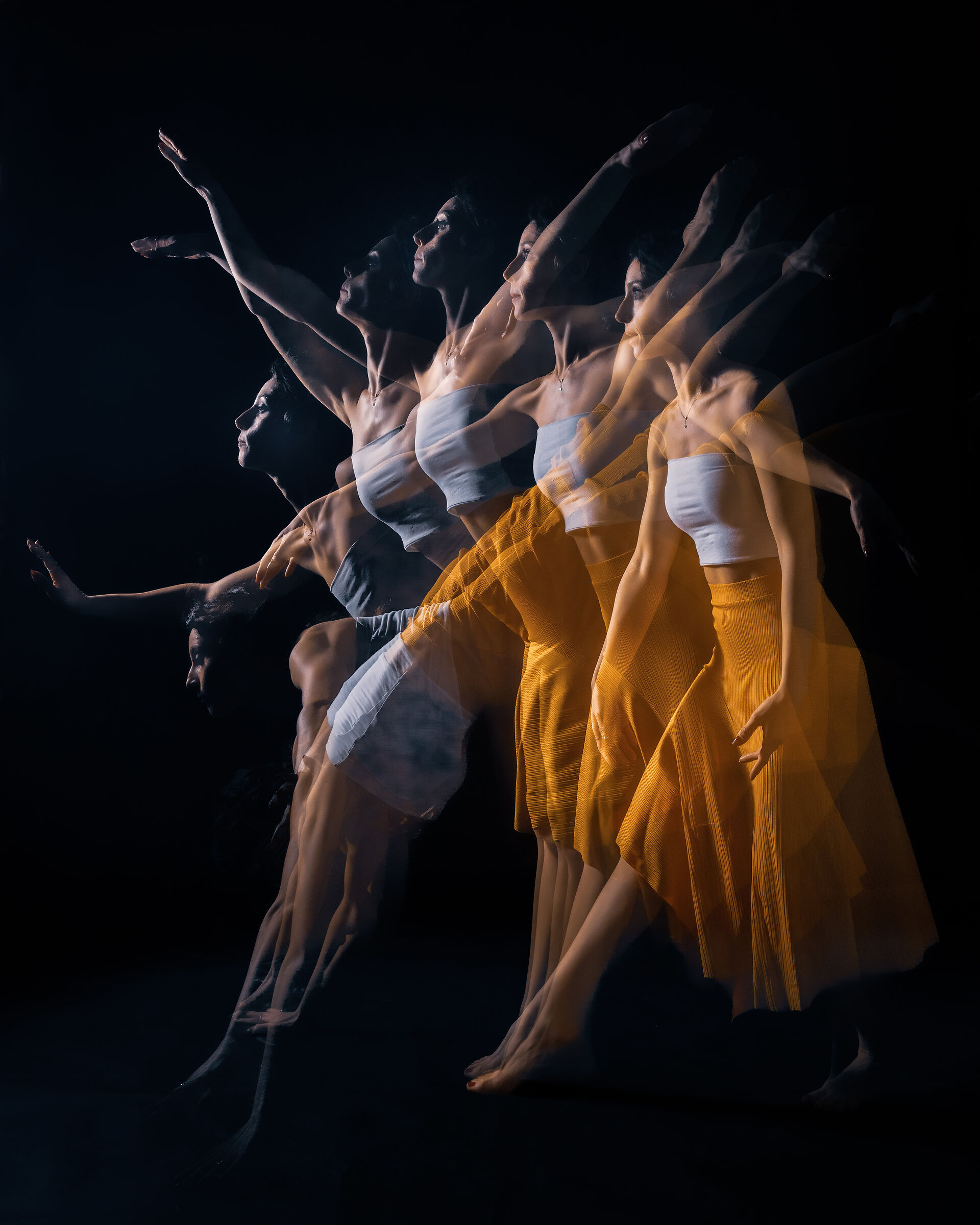 The Movements of Dance