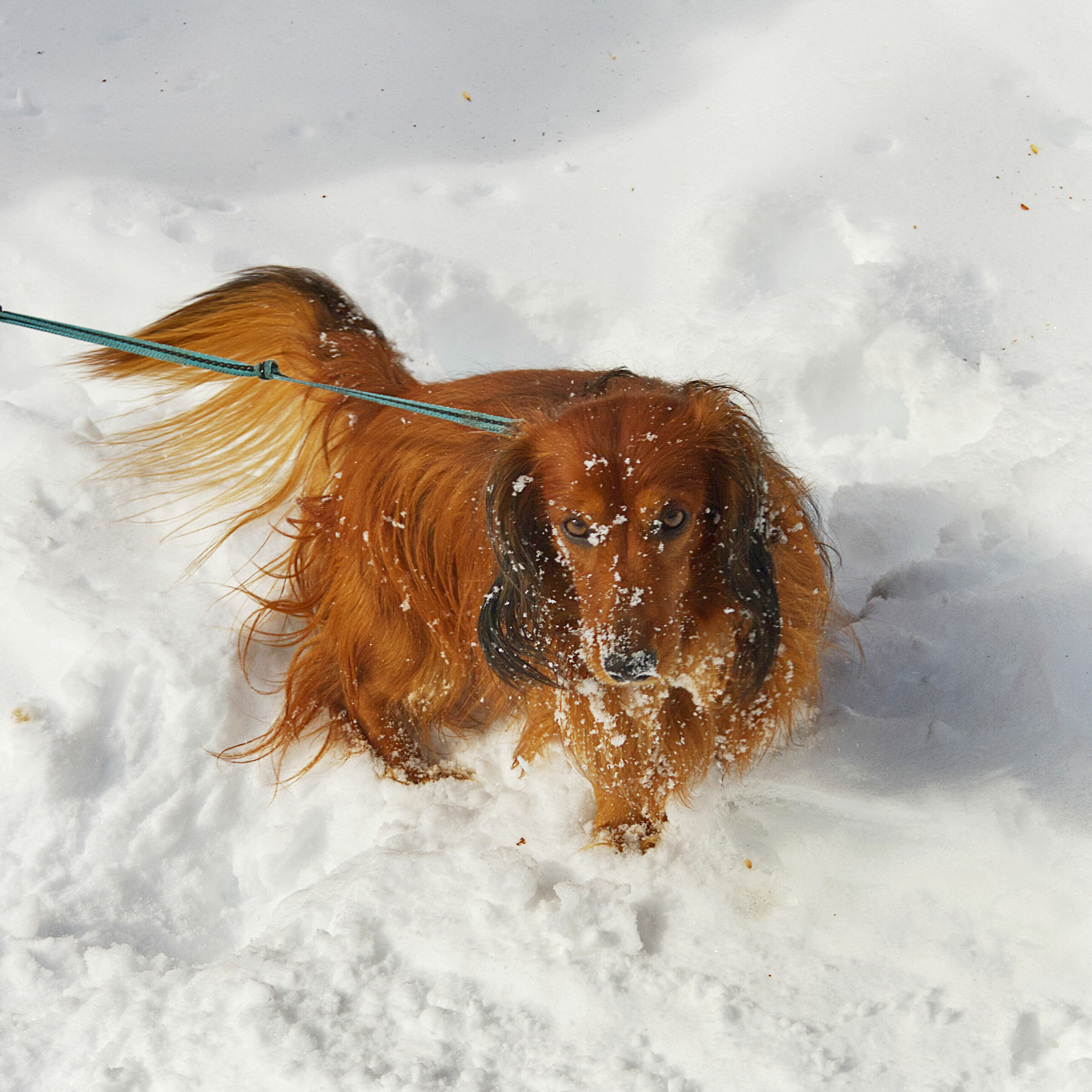 ... guarda come mi diverto !