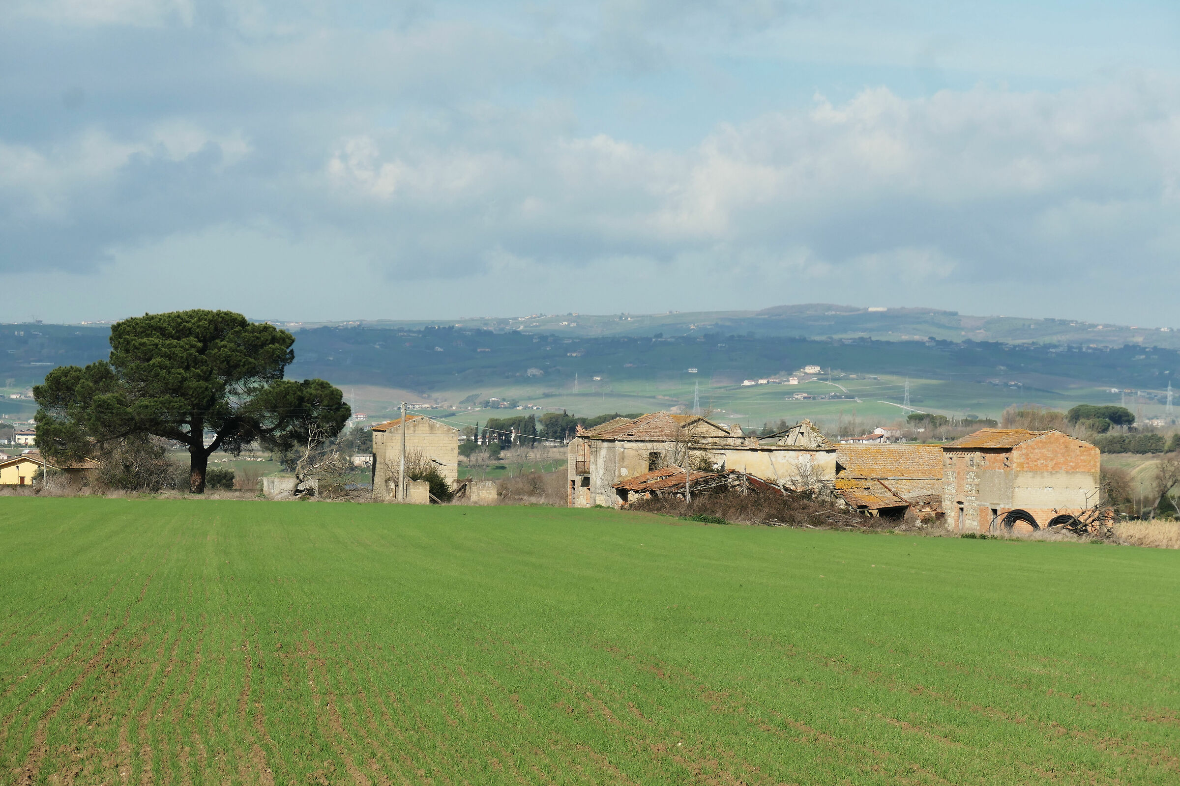 Agricultural archaeology