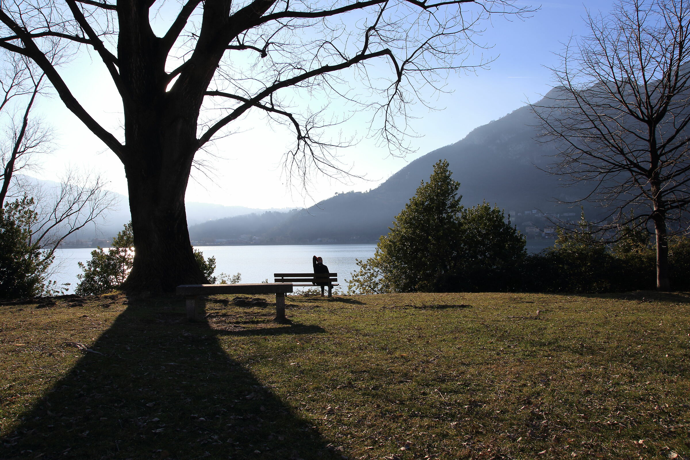 Un pomeriggio sul lago