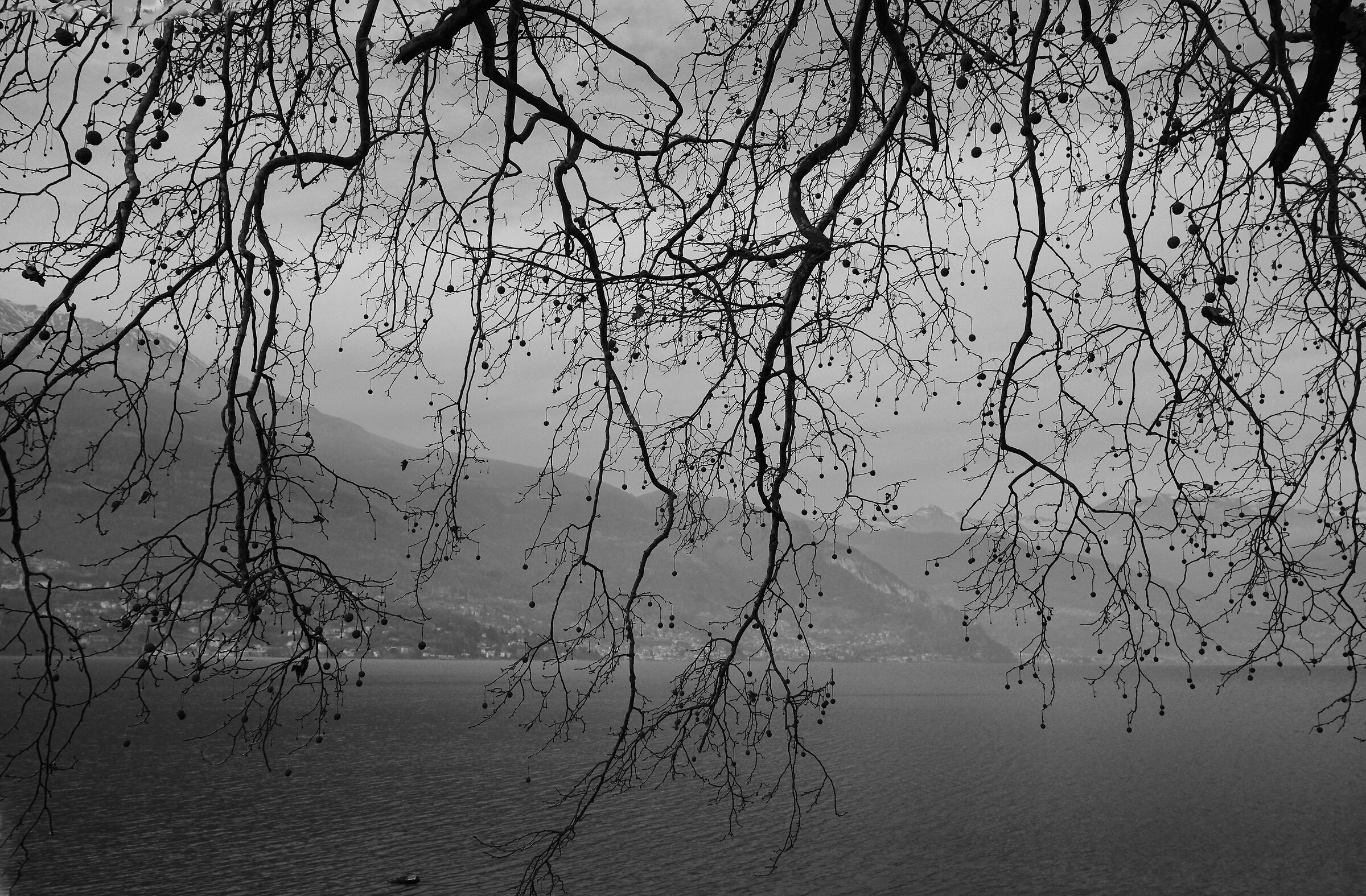 That branch of Lake Como