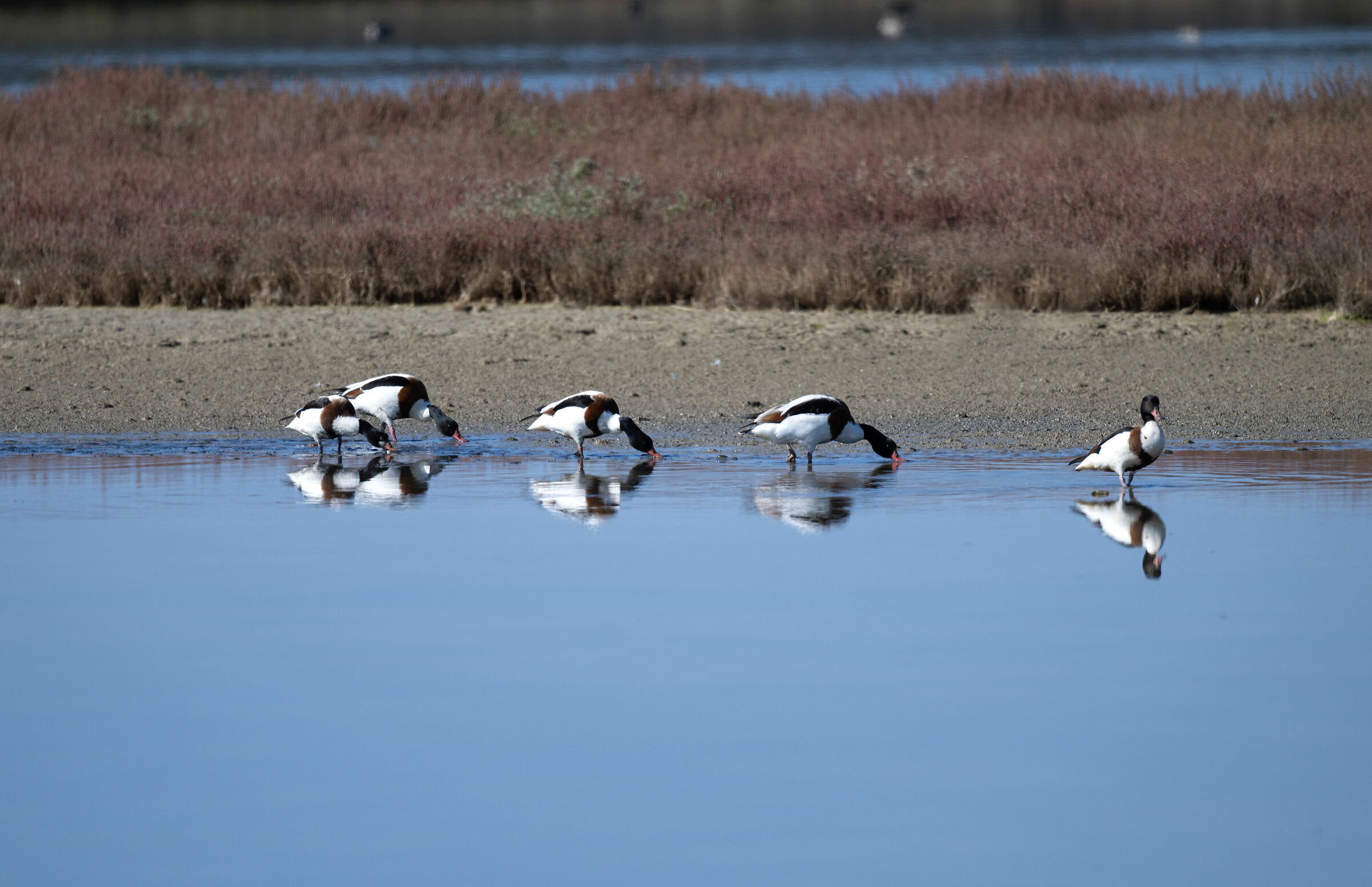 Laguna Tonnarella Mazara