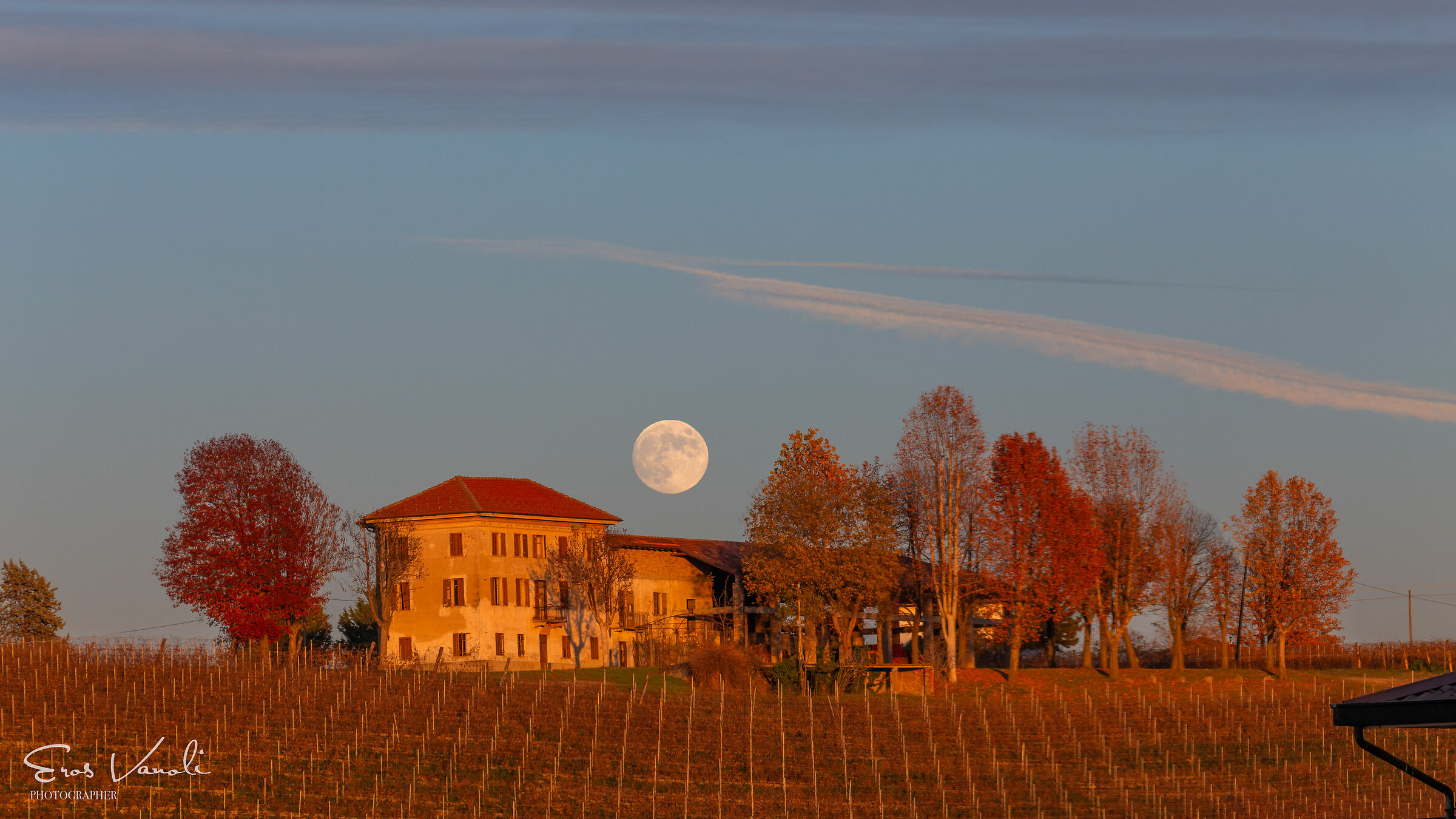 L'alba nel tramonto autunnale nei vigneti delle langhe