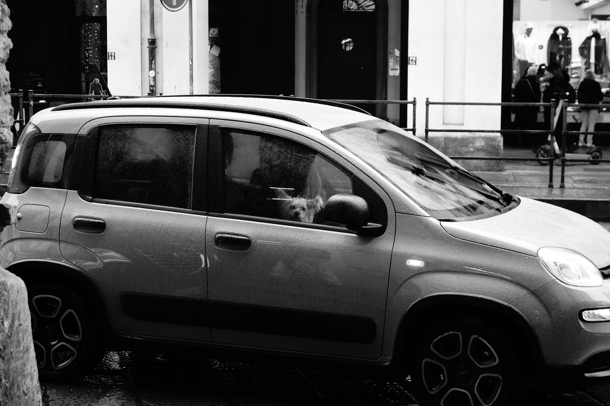 Rainy day