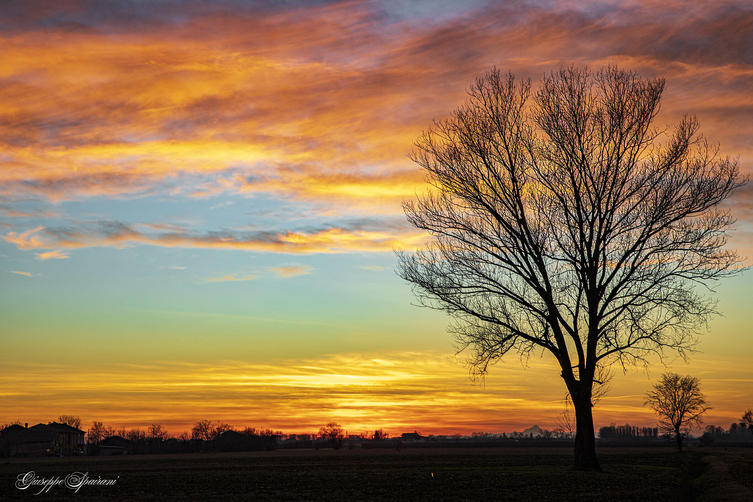 When nature uses the brush