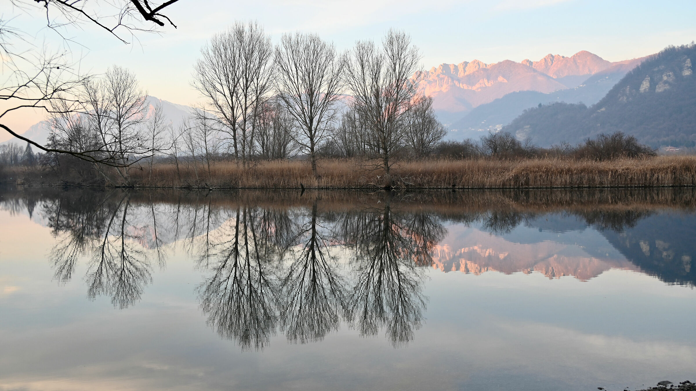 Riflessi invernali sull'Adda 2
