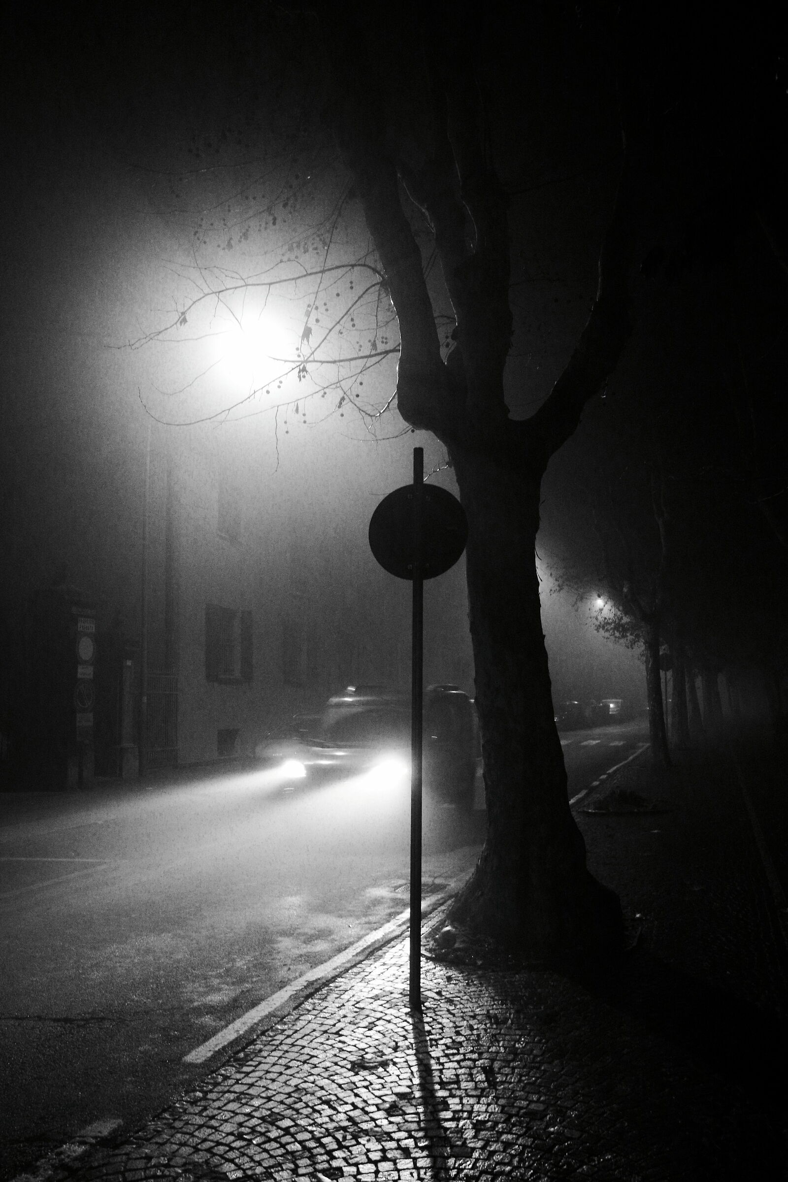 Mists