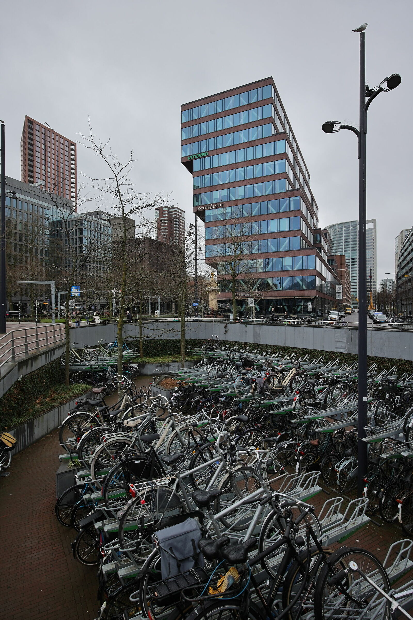 Rotterdam - Modern architecture and cycling