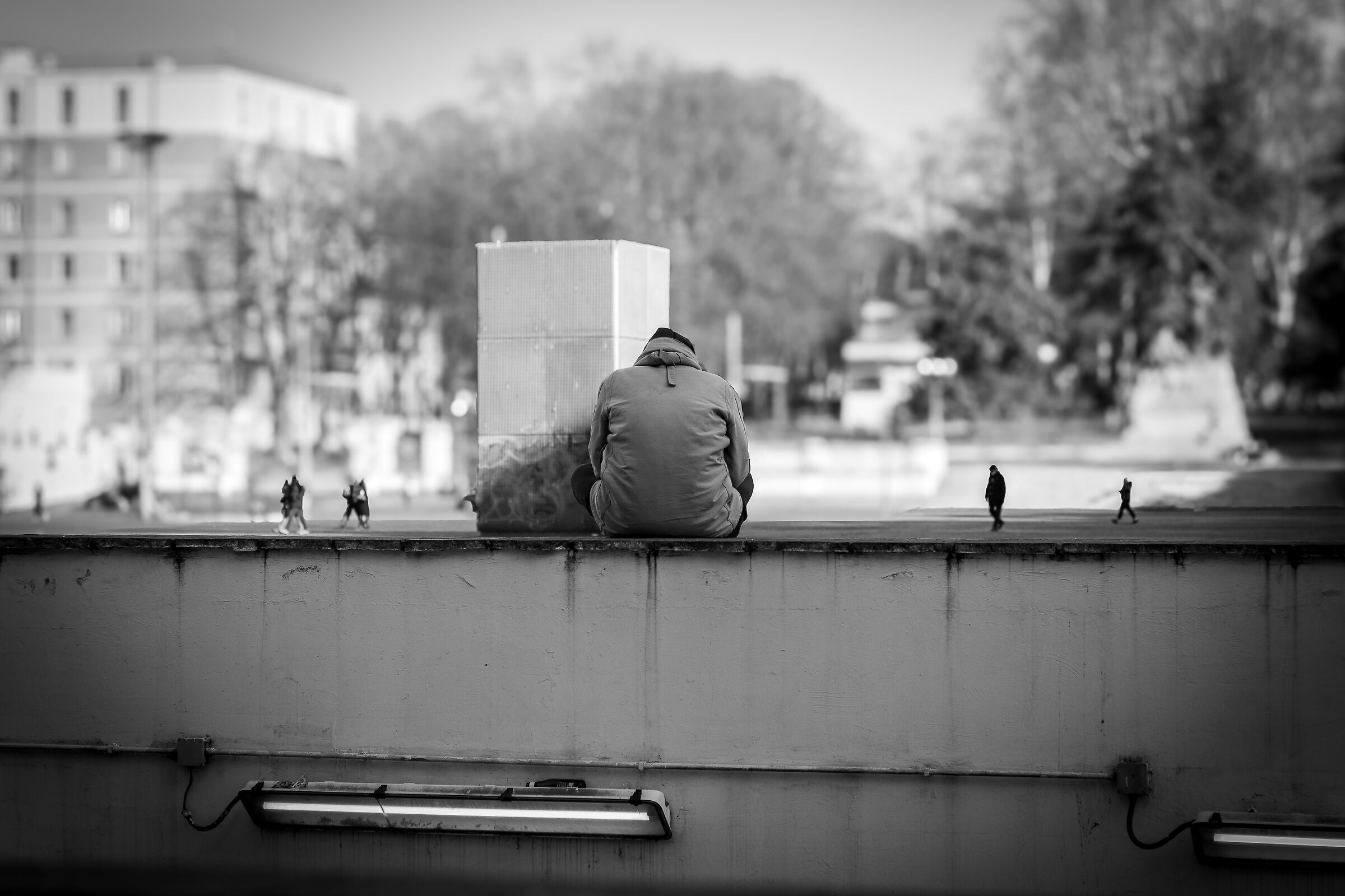 Il buio oltre la siepe