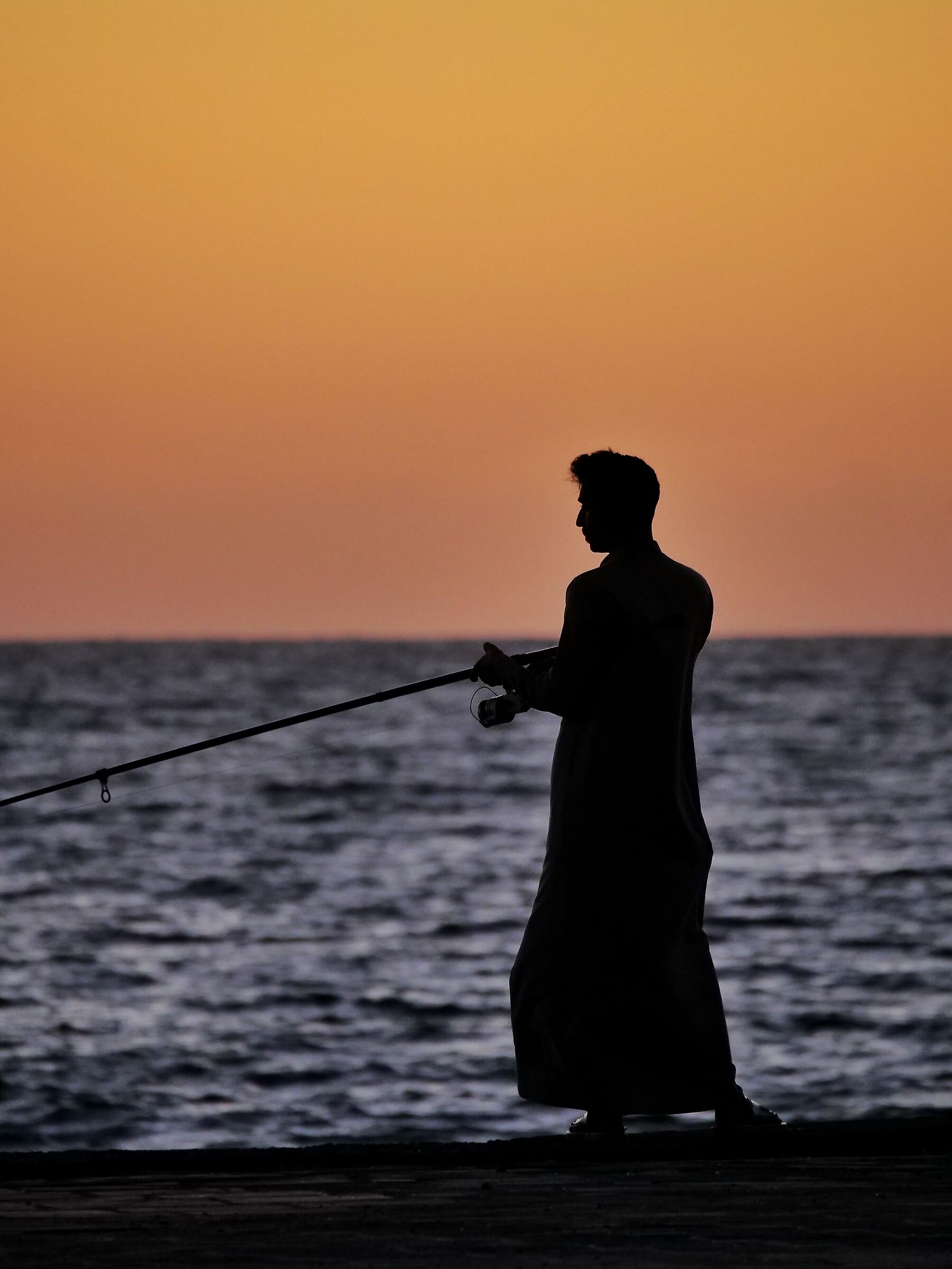 The Saudi Fisherman
