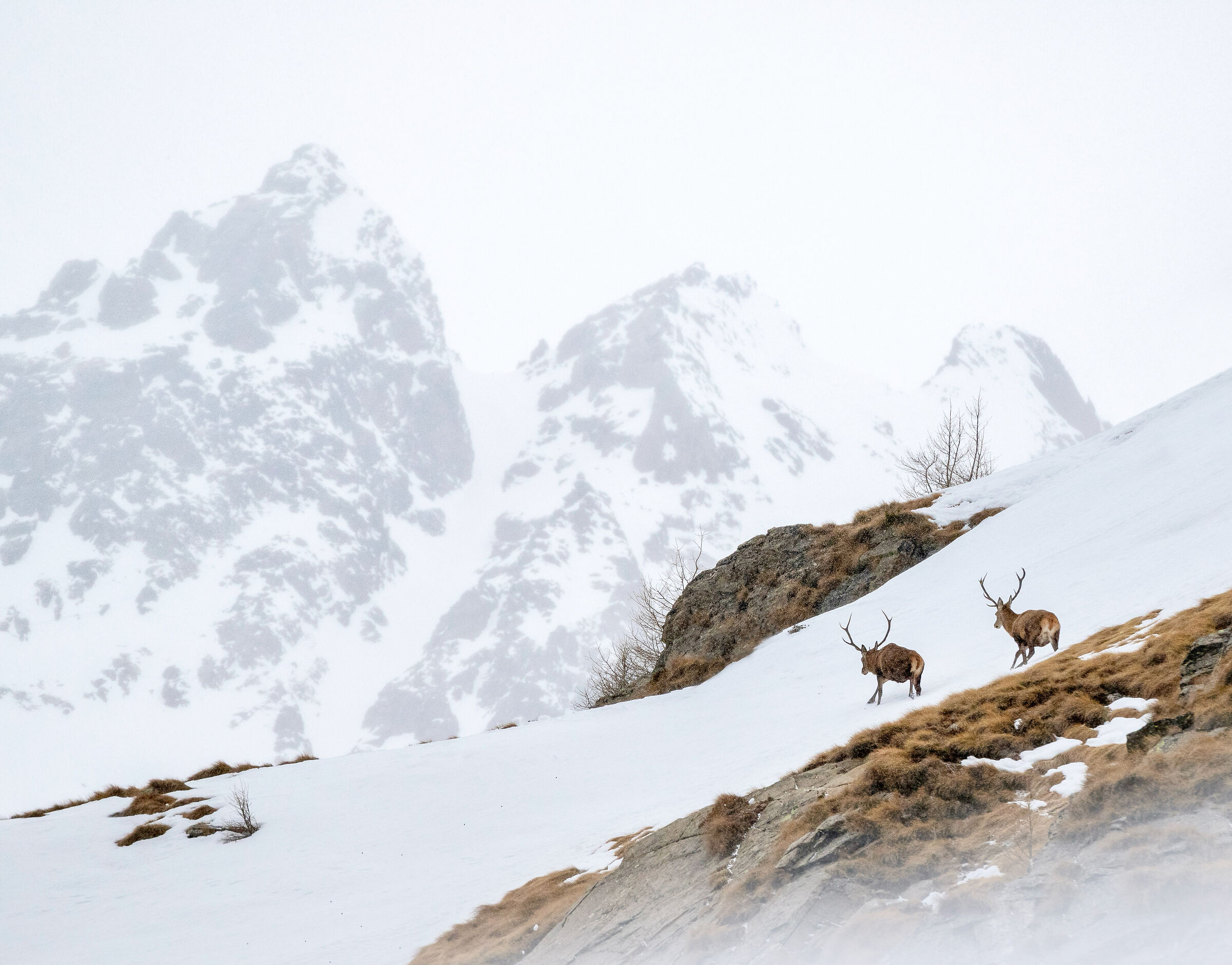 Into new territories