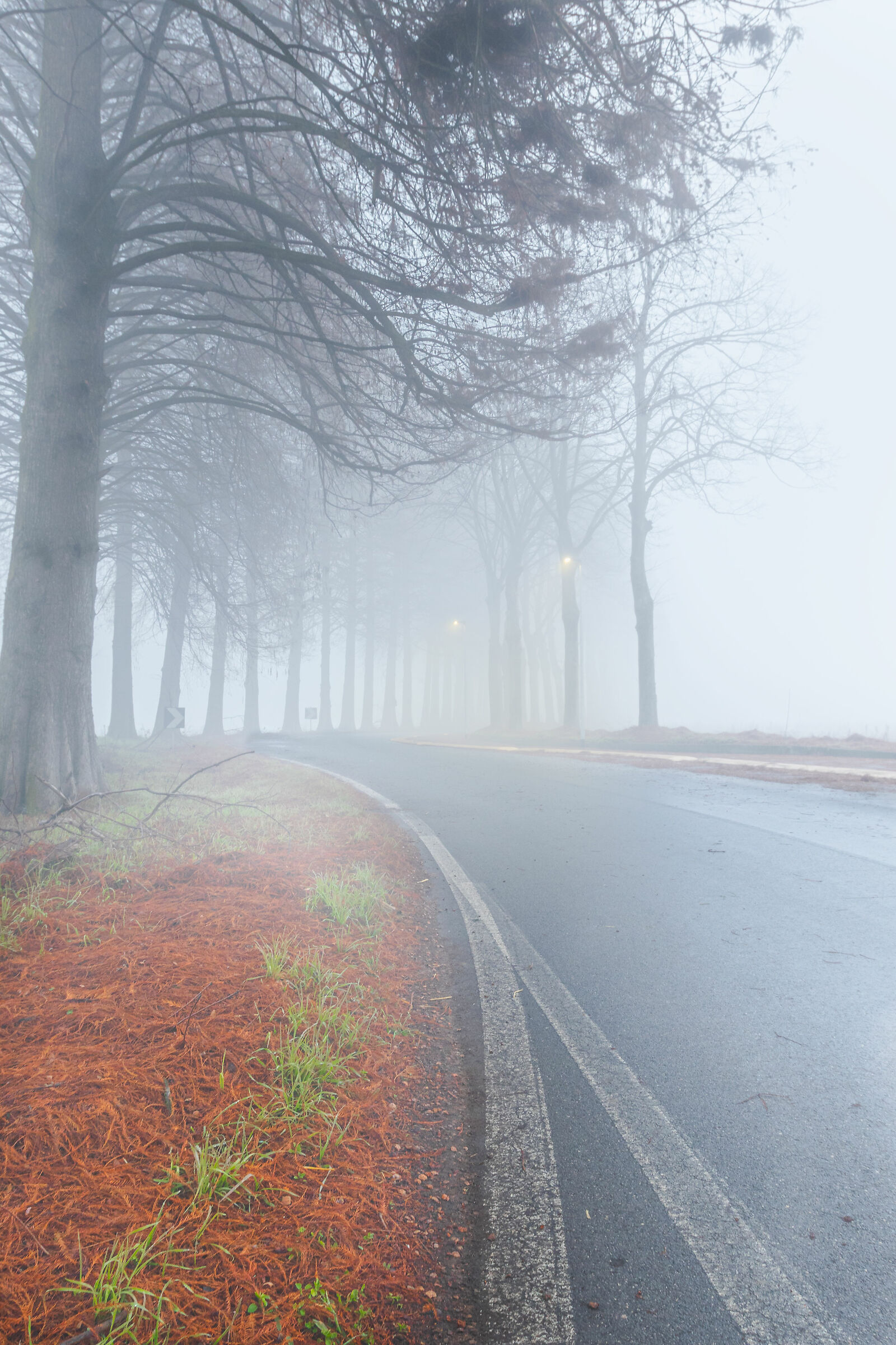 Nebbia in Vaipadana