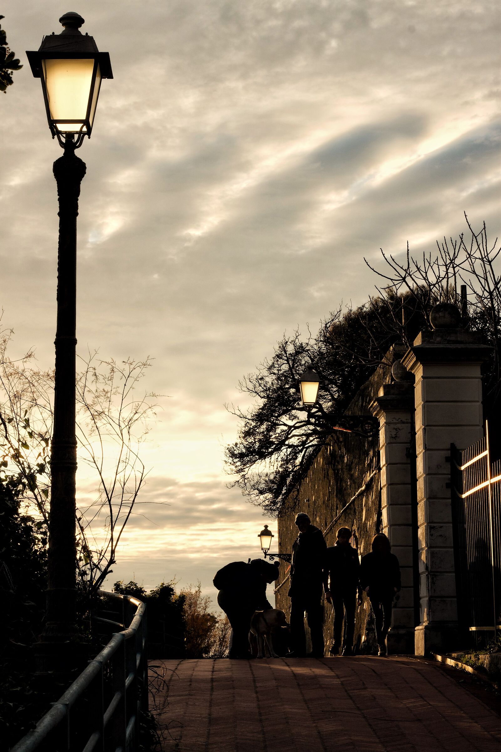 Solar Street Lights