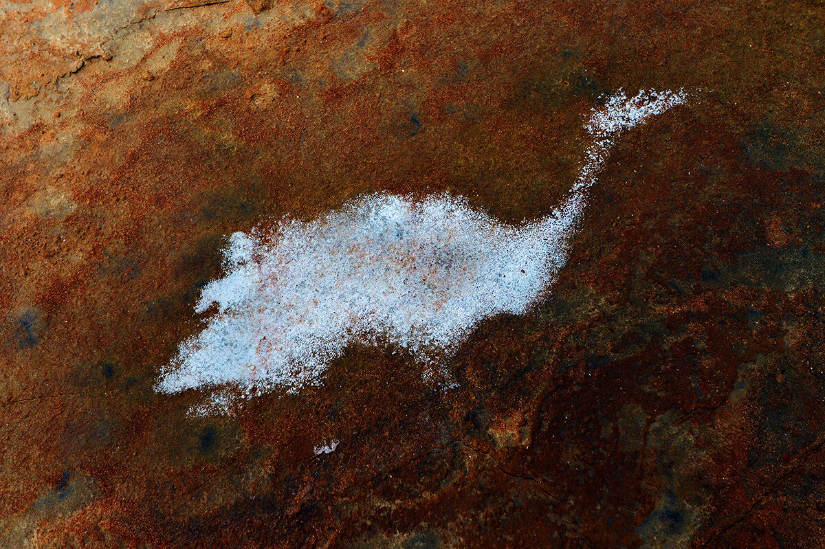 Un percorso di contemplazione nelle distese fangose di Pyeon...