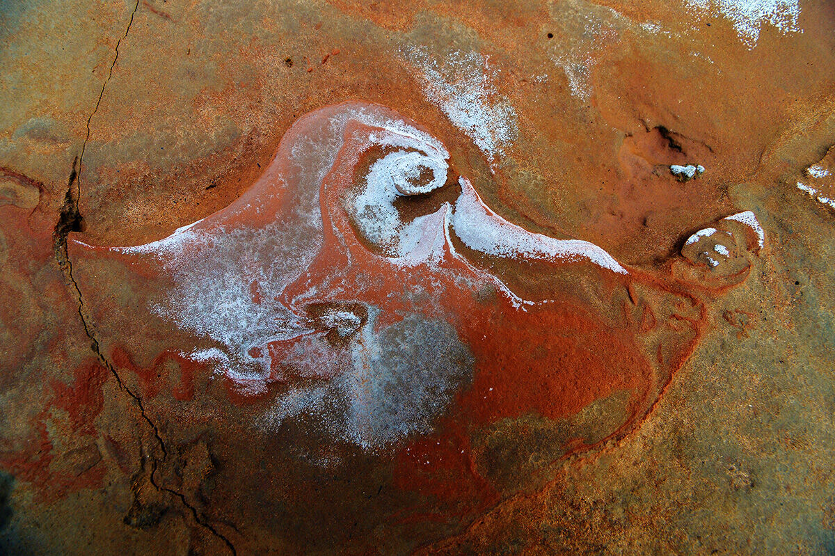 Un percorso di contemplazione nelle distese fangose di Pyeon...