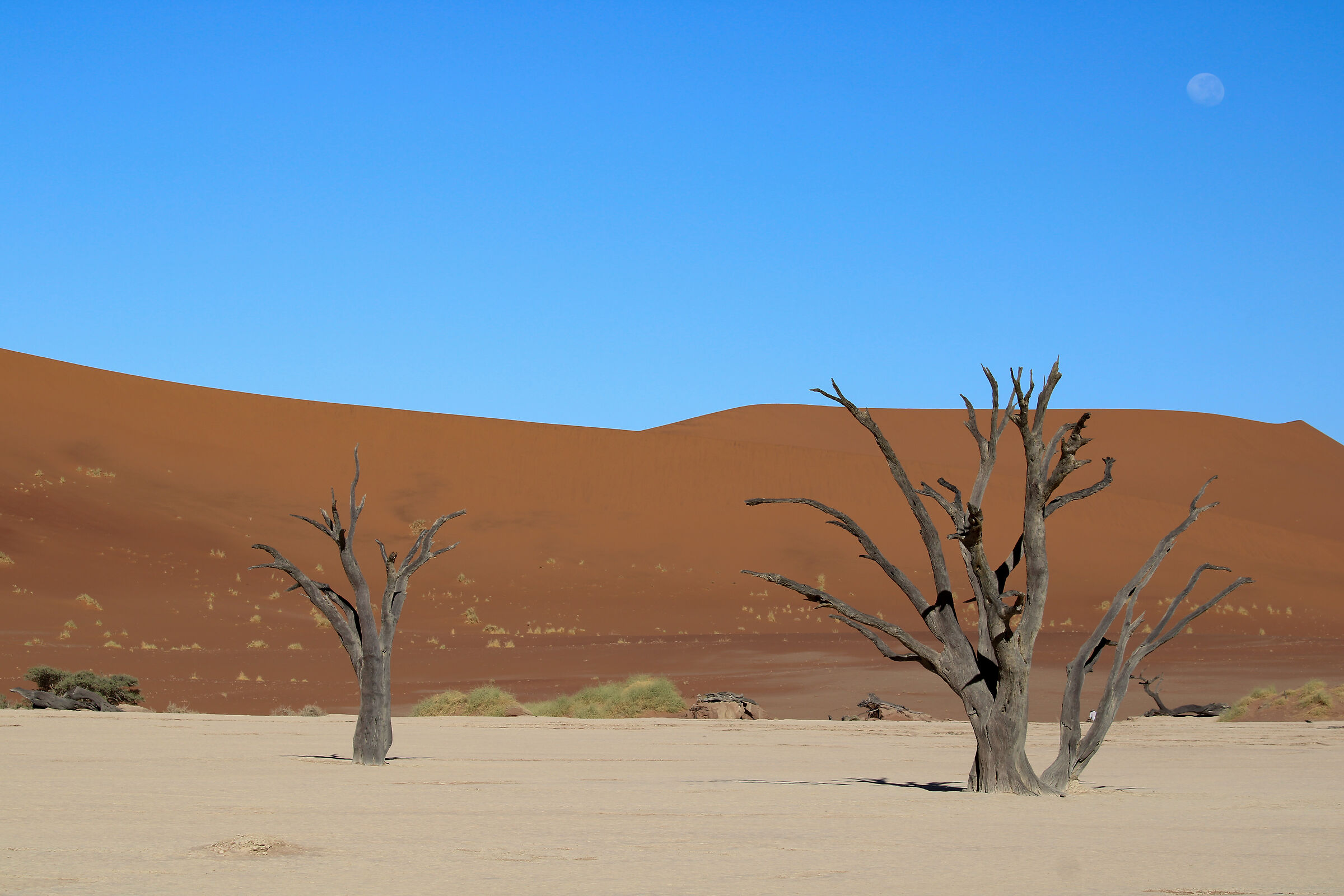Deadvlei