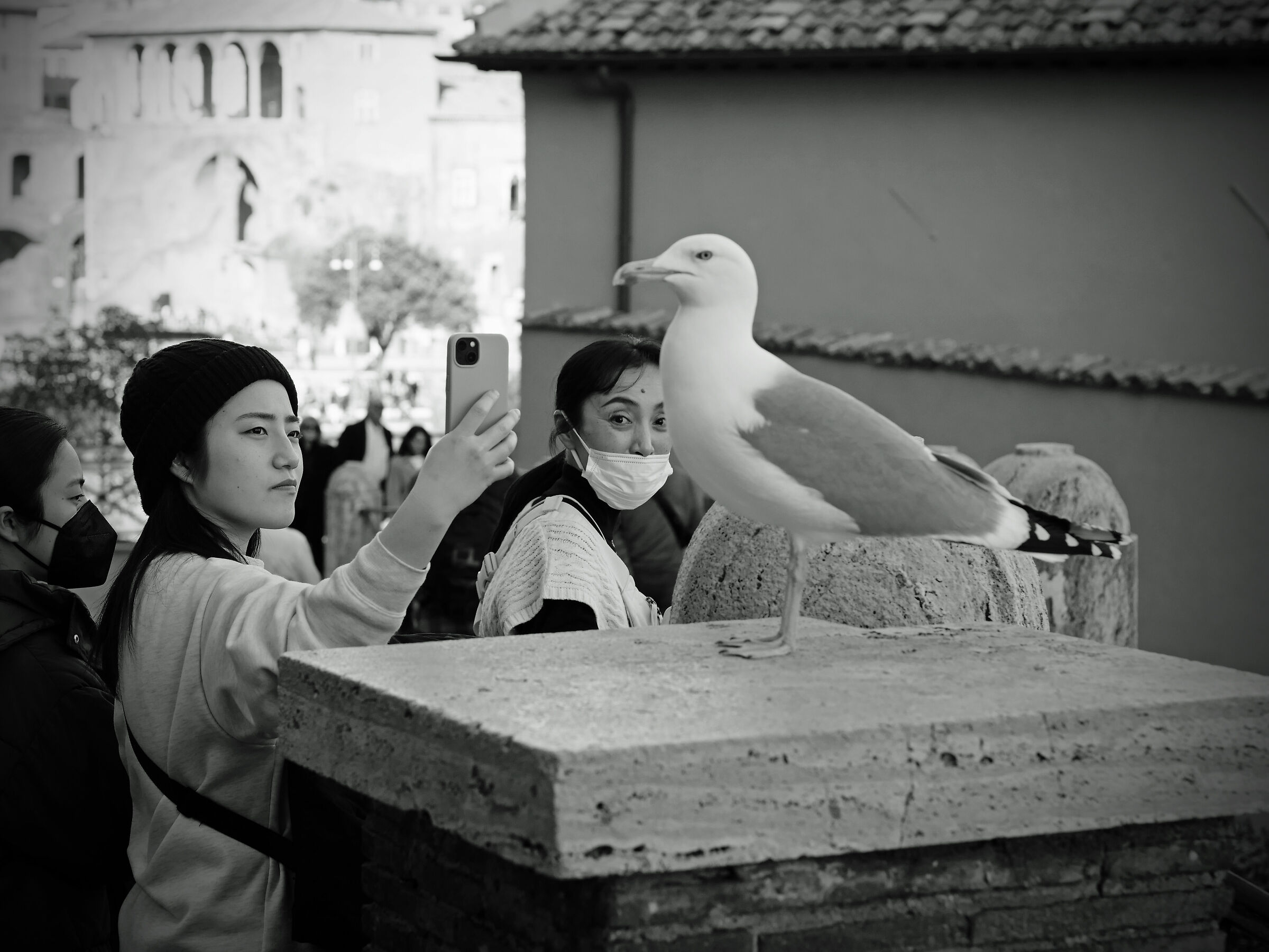 Roma