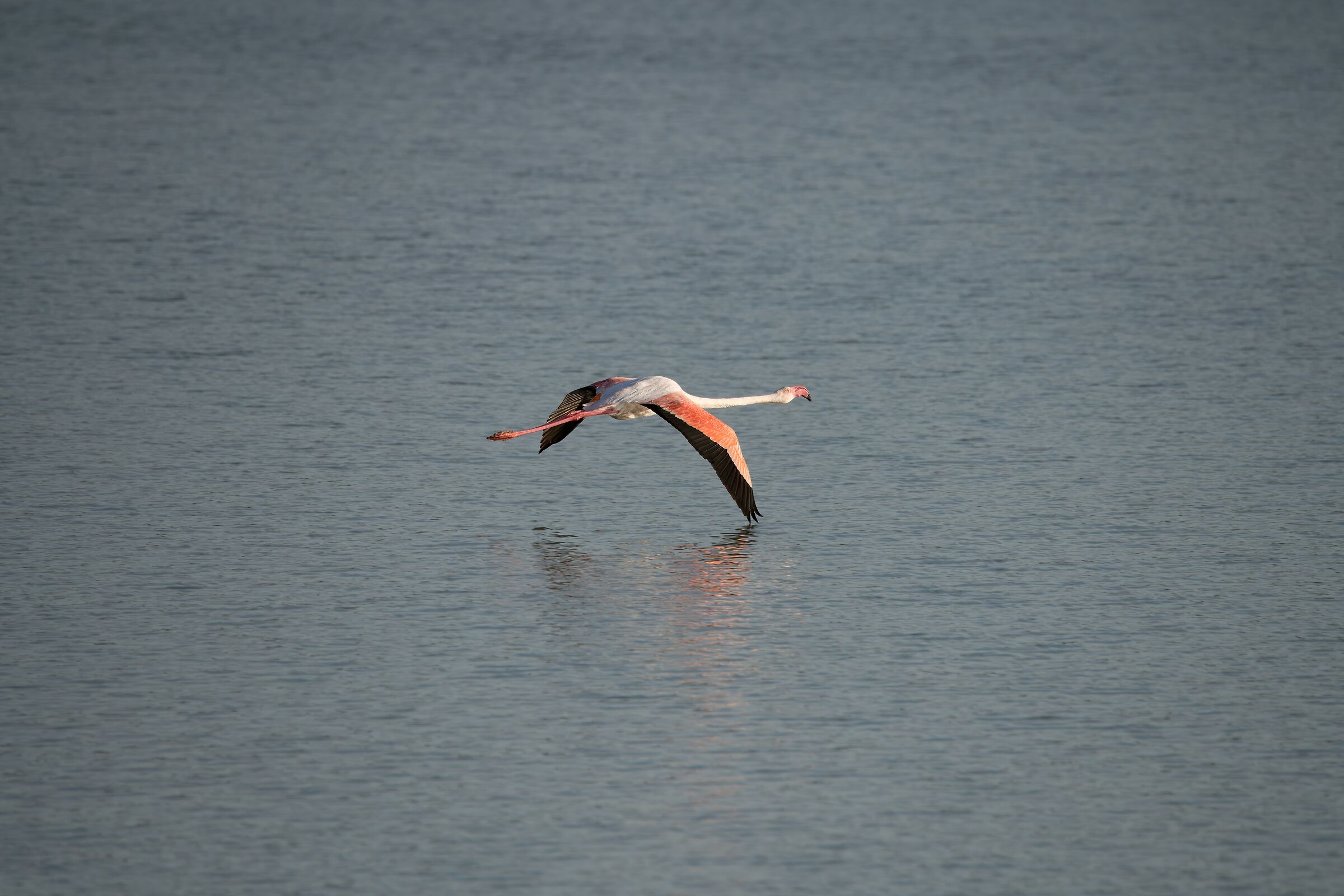 Low-flying