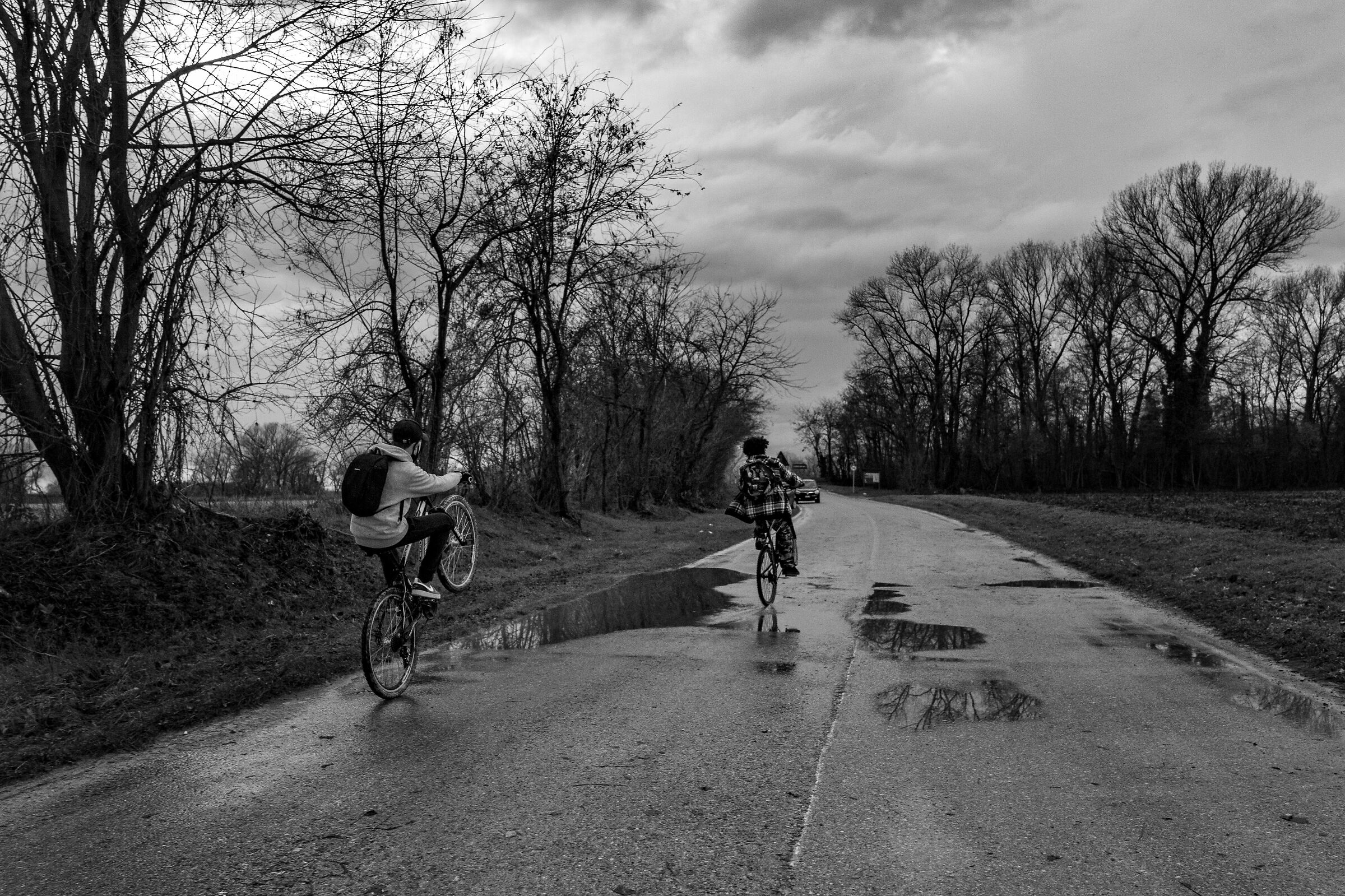 Impennate in giornate uggiose