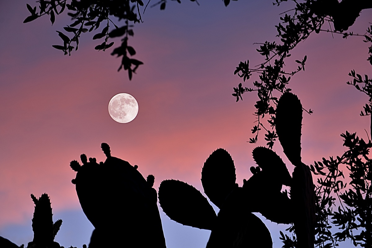 Plenilunio al tramonto...