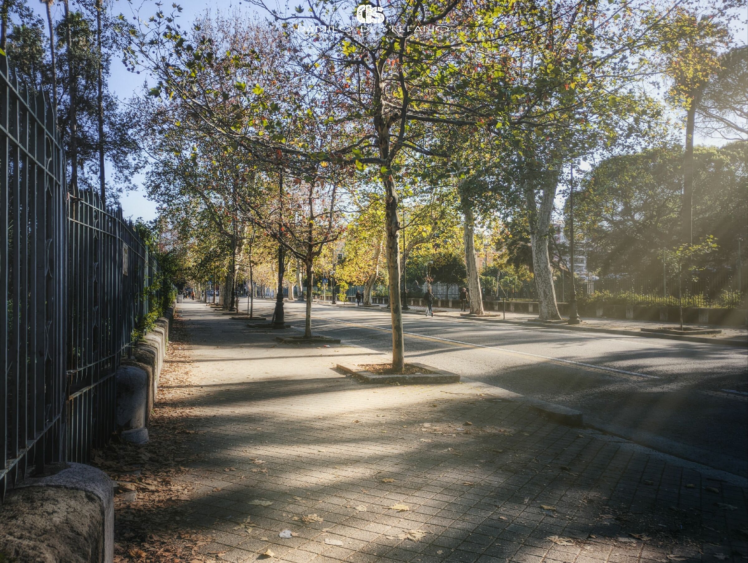 Palermo - via libertà