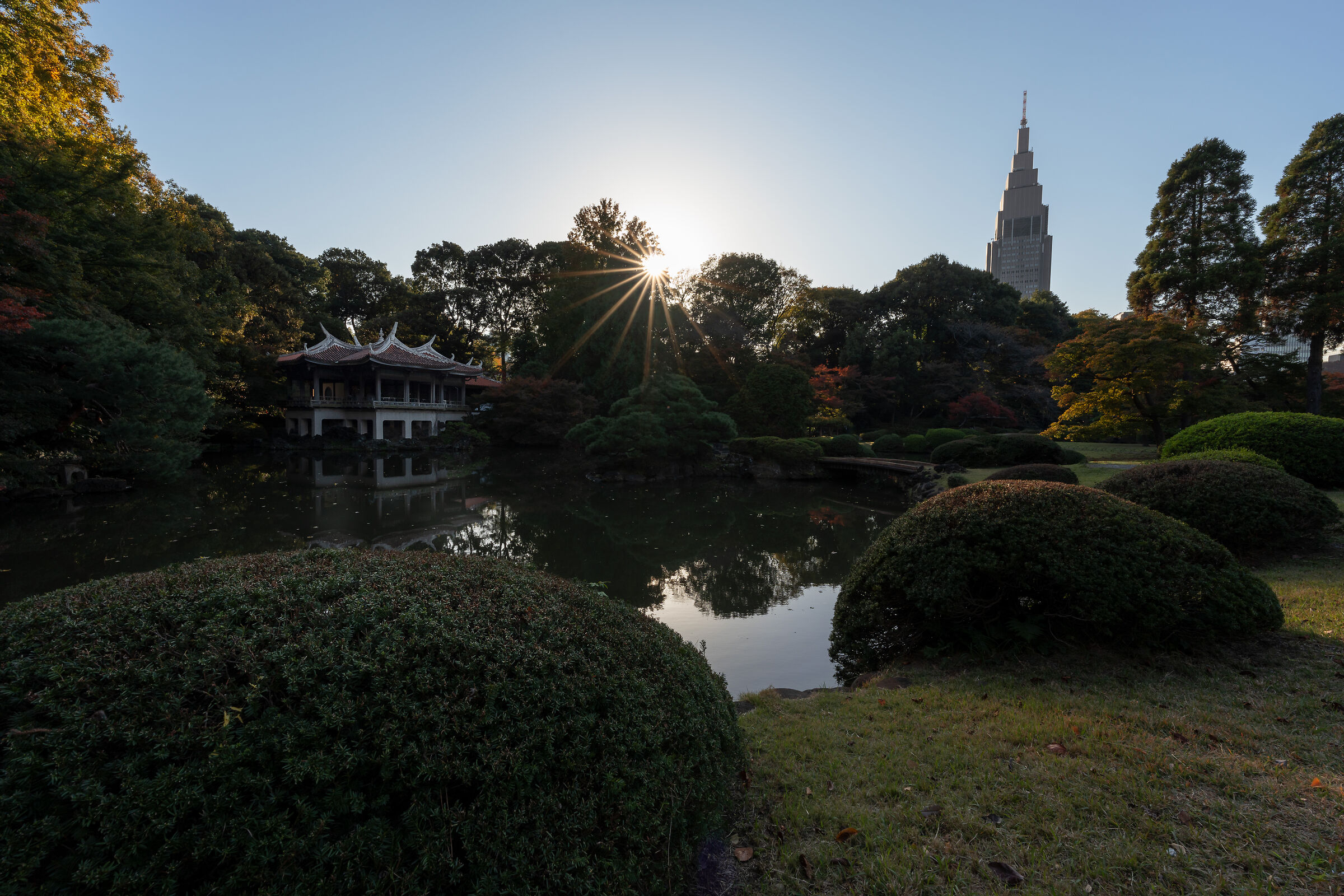 Shinjuku Gyoen National Garden