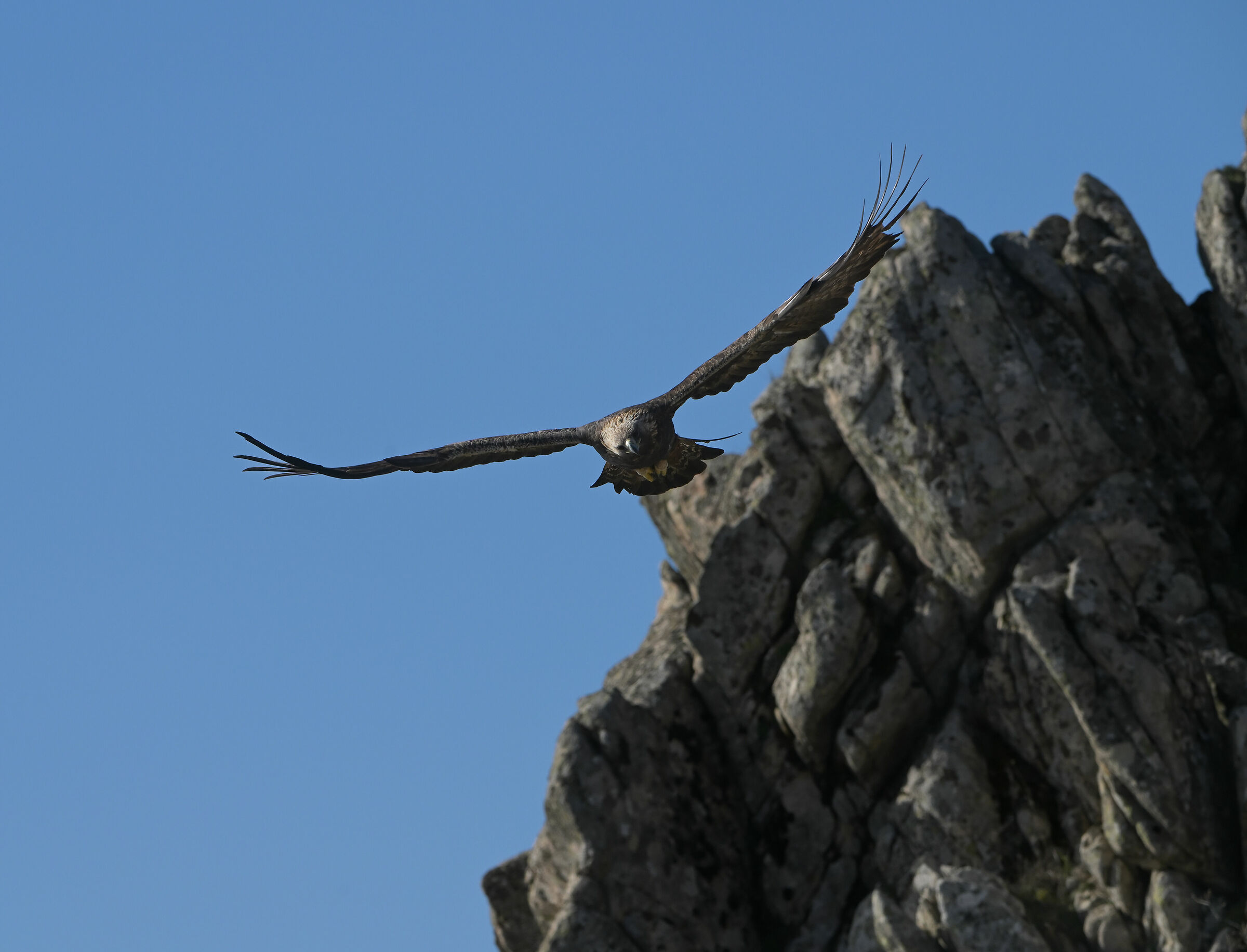 faccia a faccia con la regina