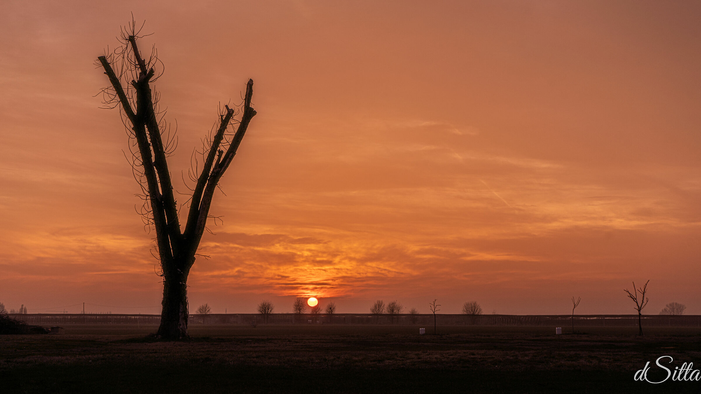 Lines at sunset