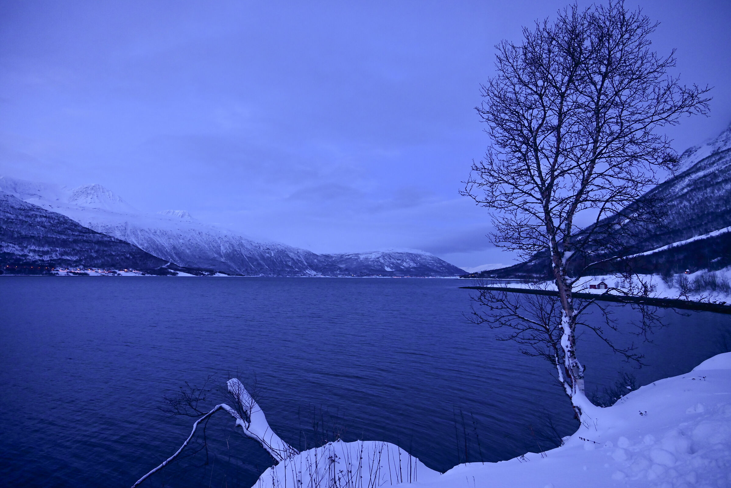 Fiordo di Tromsø