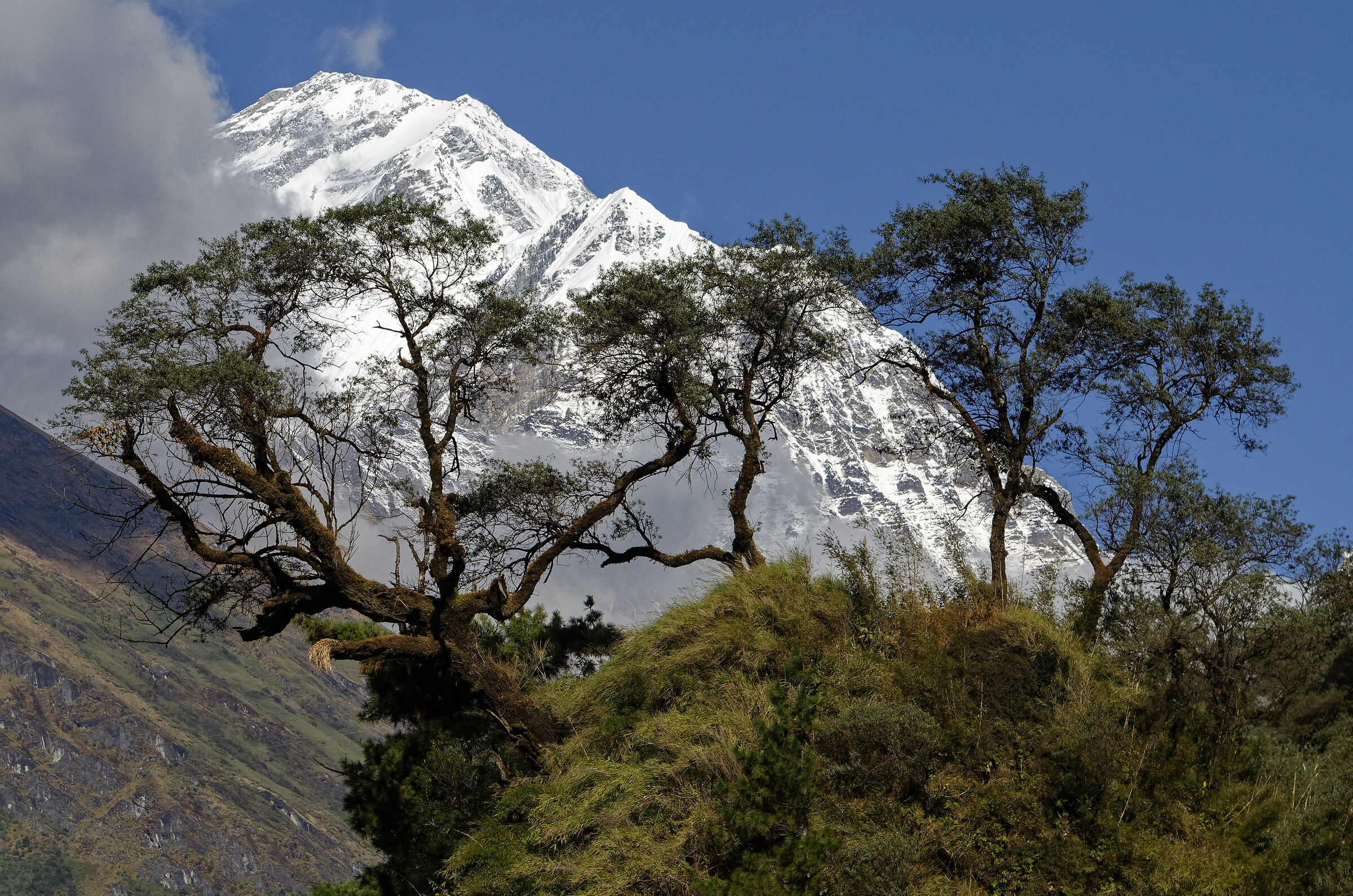 Dhaulagiri