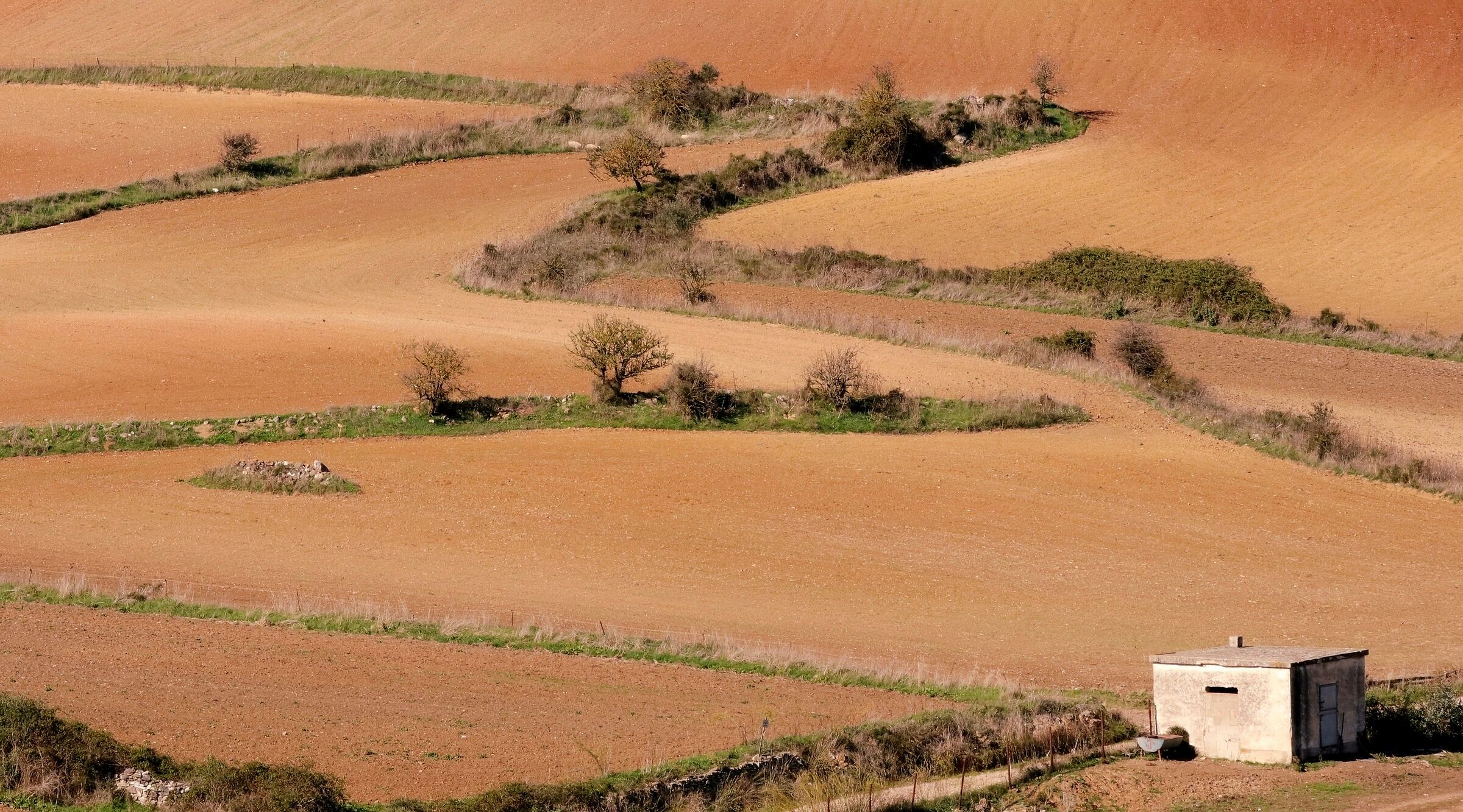 The colors of the earth