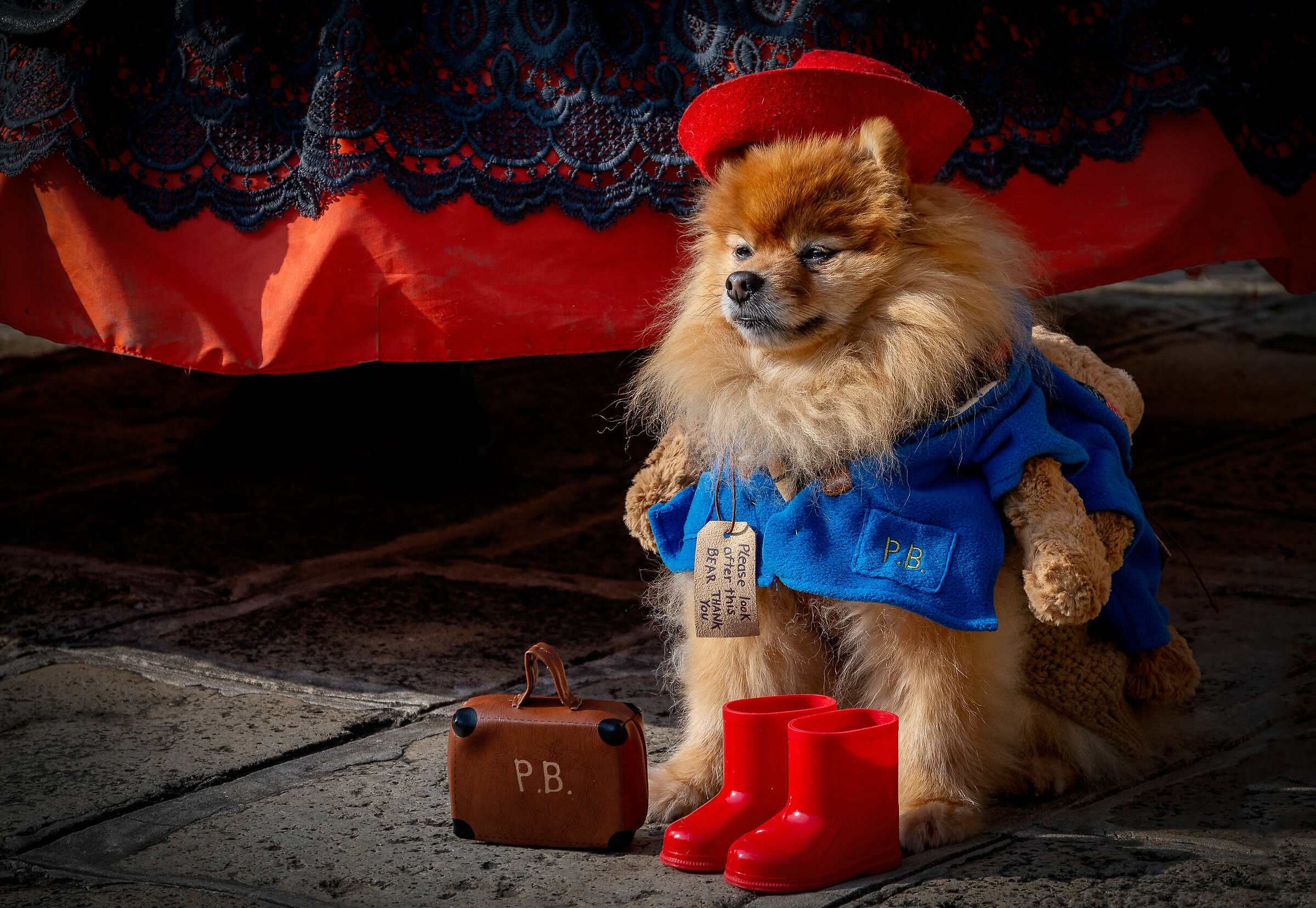 Carenevale di Venezia