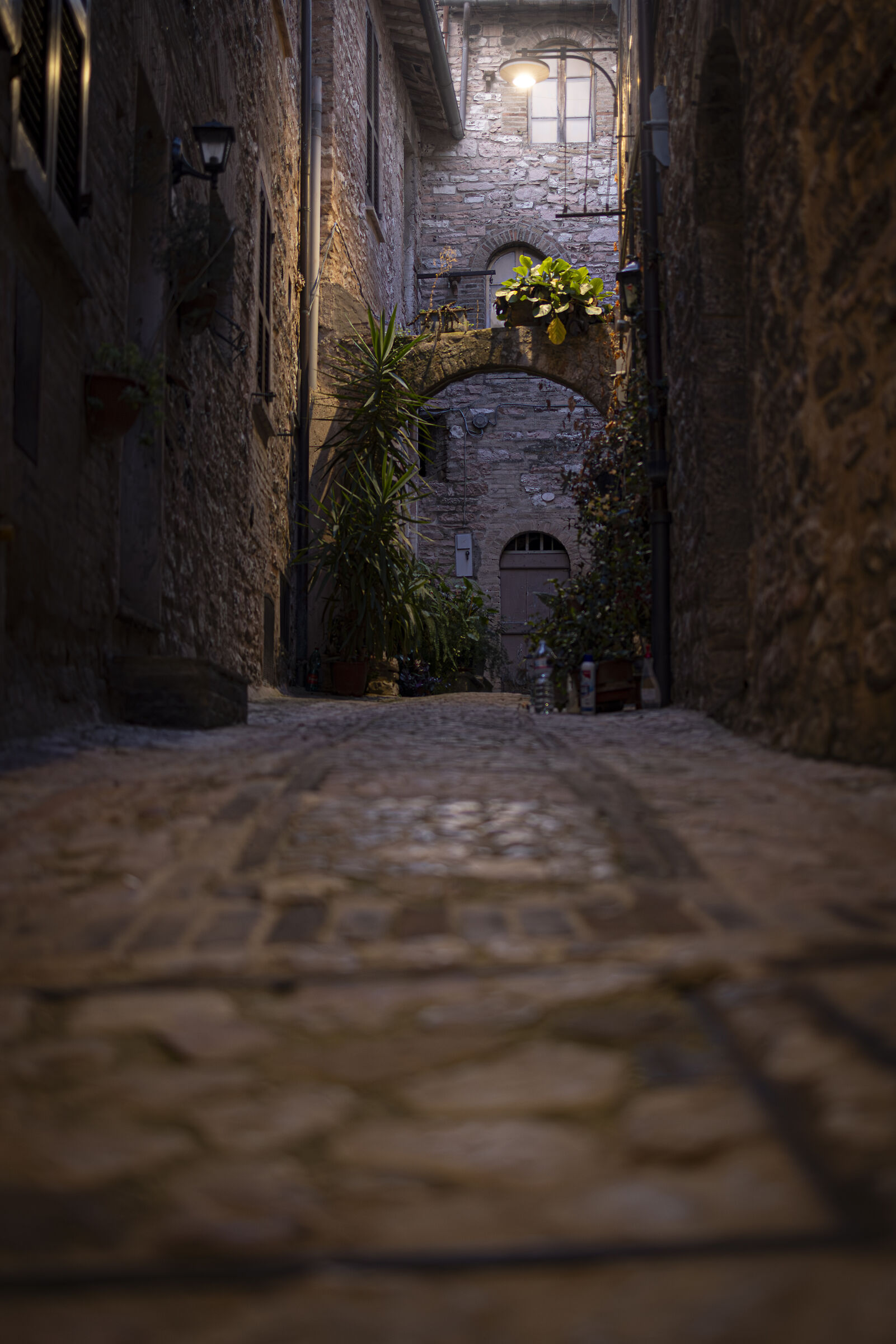 Umbria Dinner - Spello