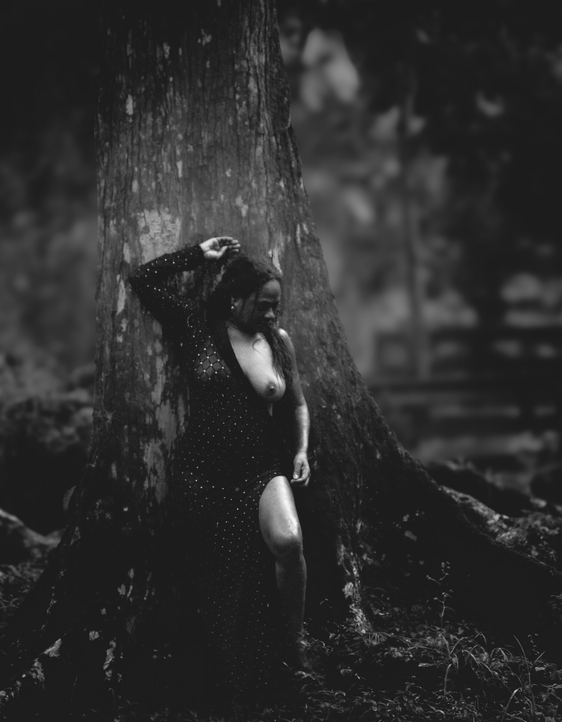 Nella foresta
