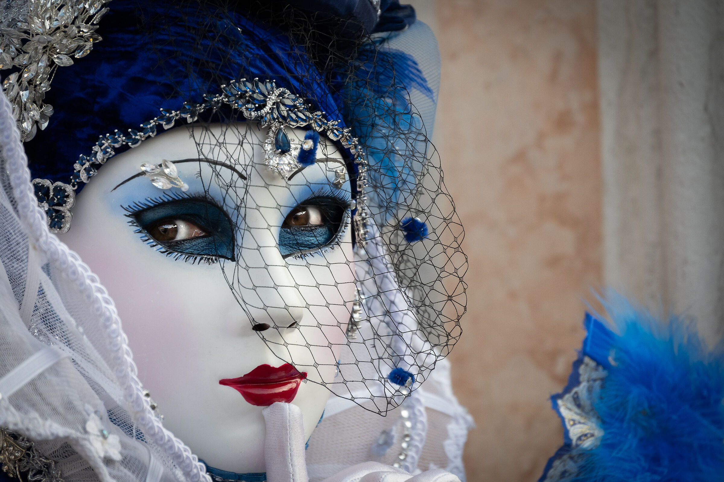 Carenevale di Venezia