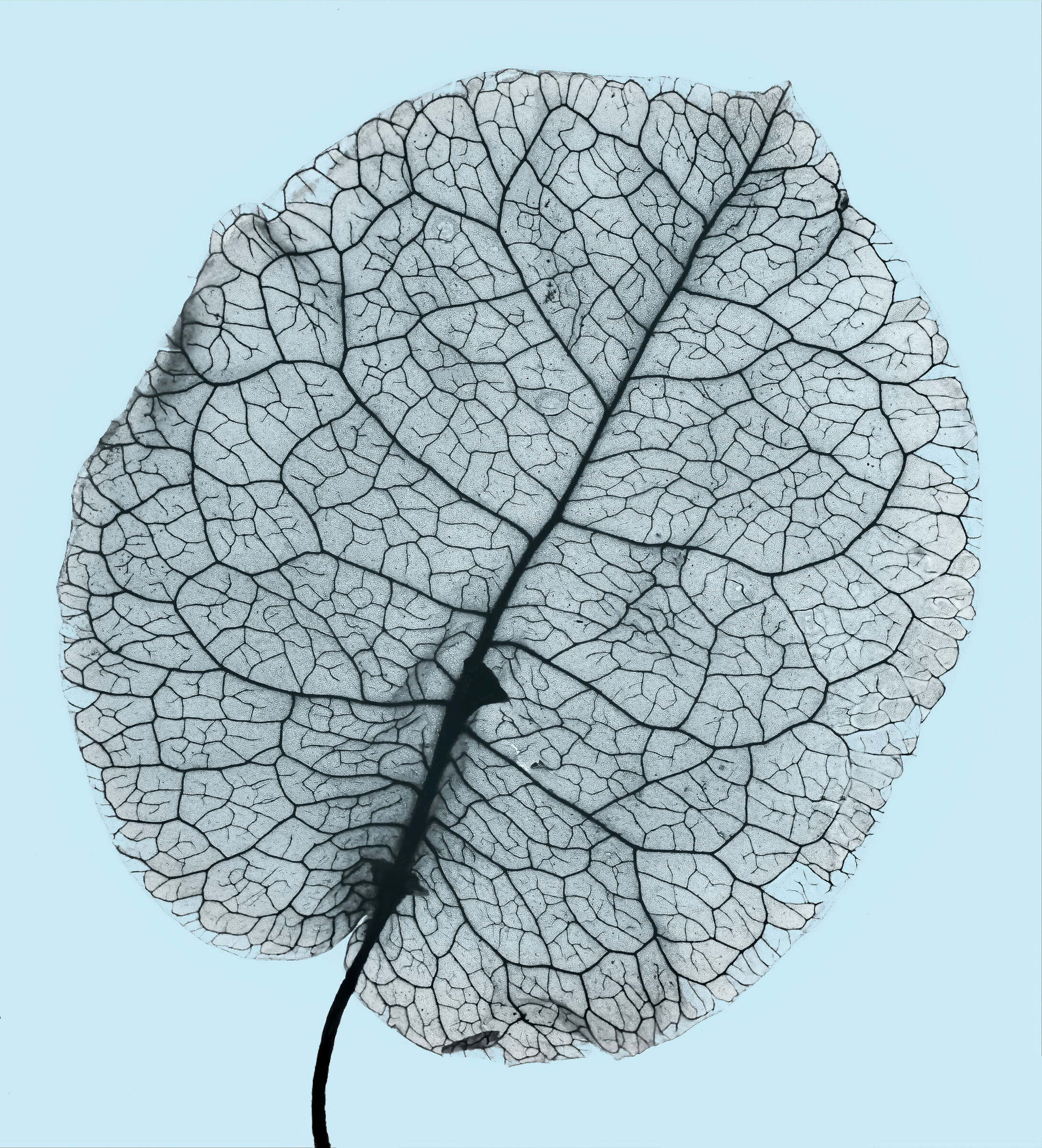 Posto un vecchio scatto