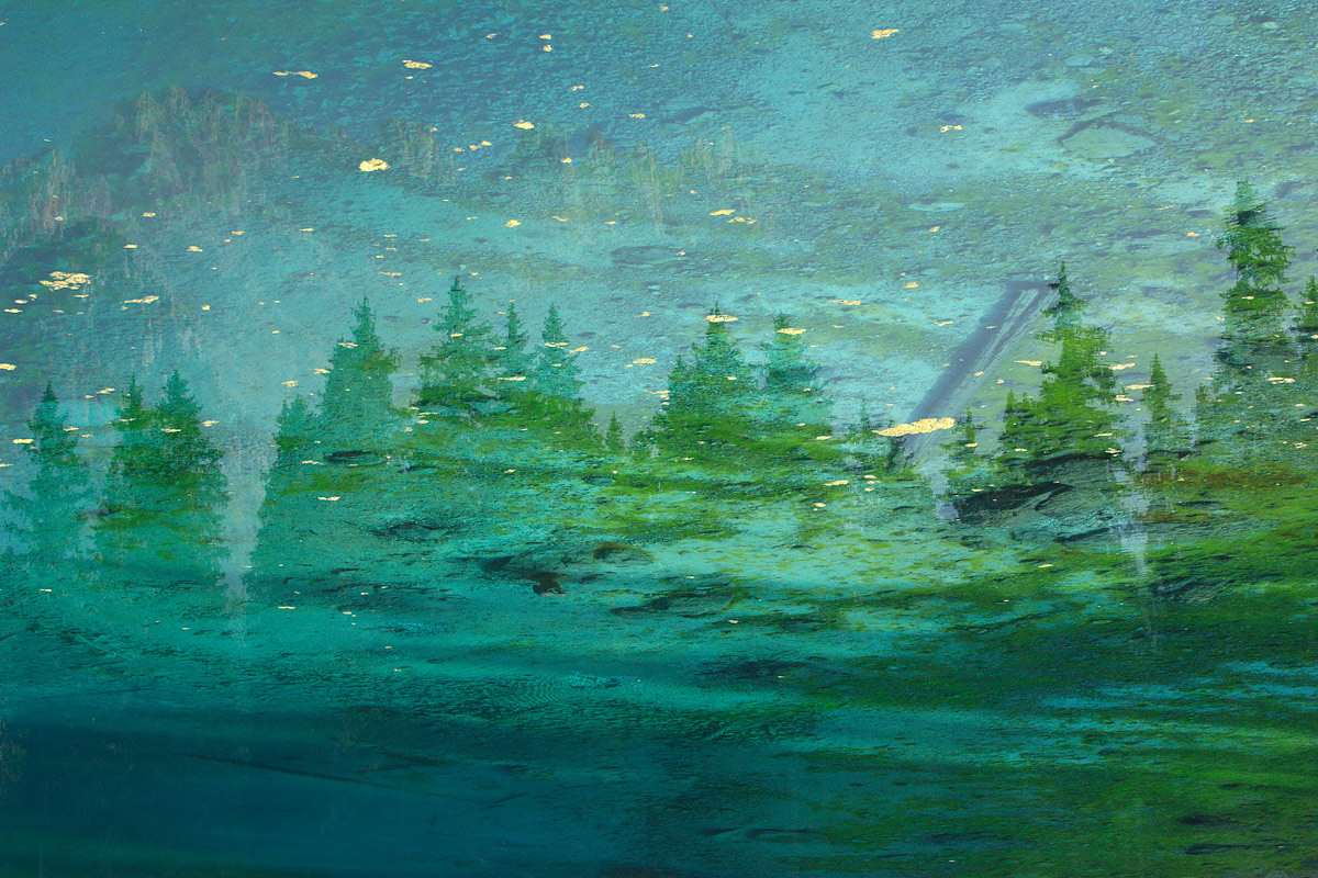 Dolomites: Impressions -- Lago di Carezza