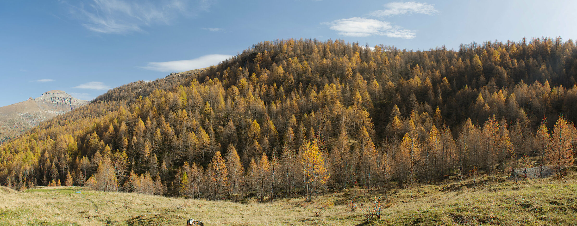 autumn in Valdivedro 2022