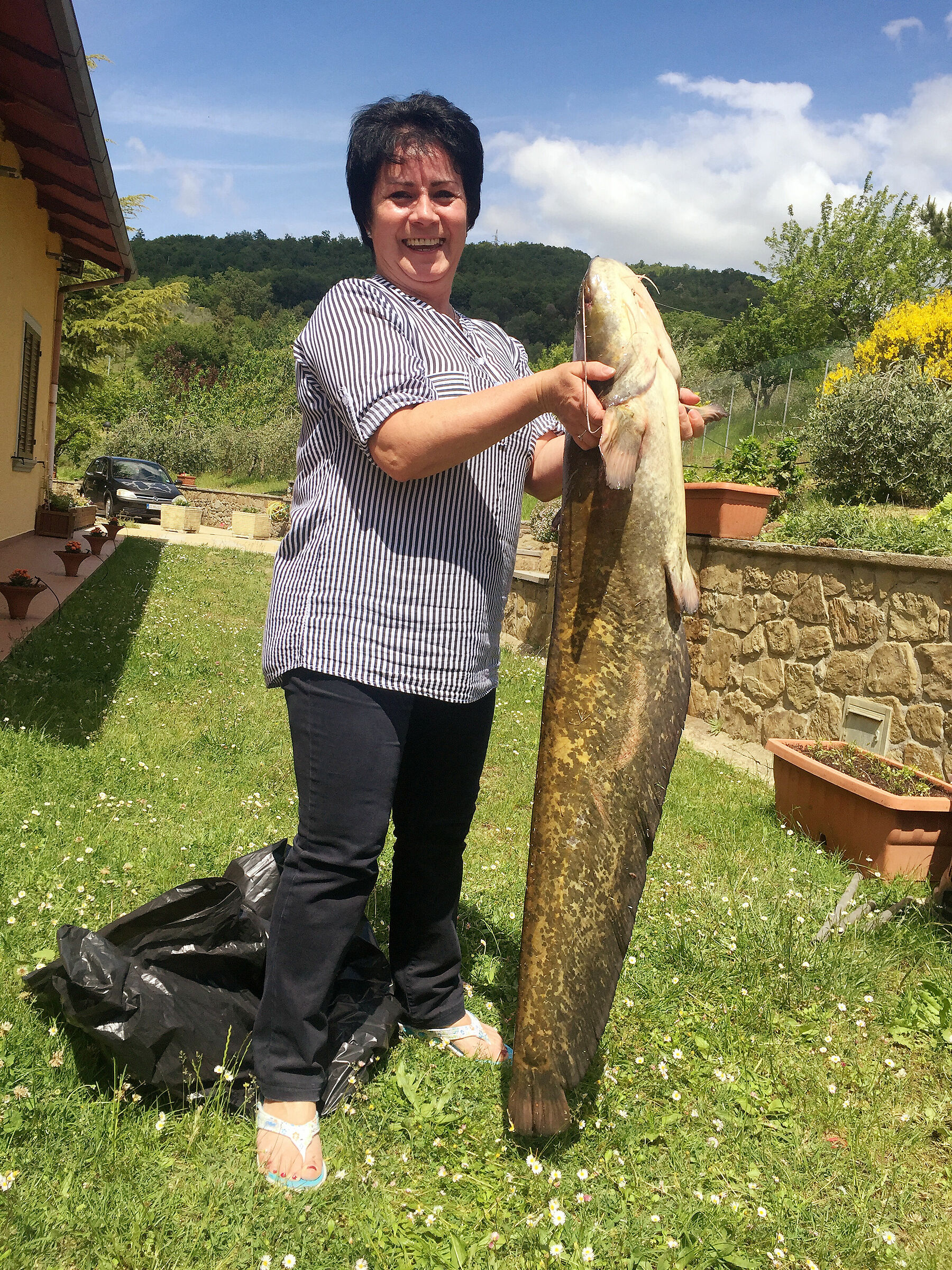 My partner went to the fishmonger's shop...