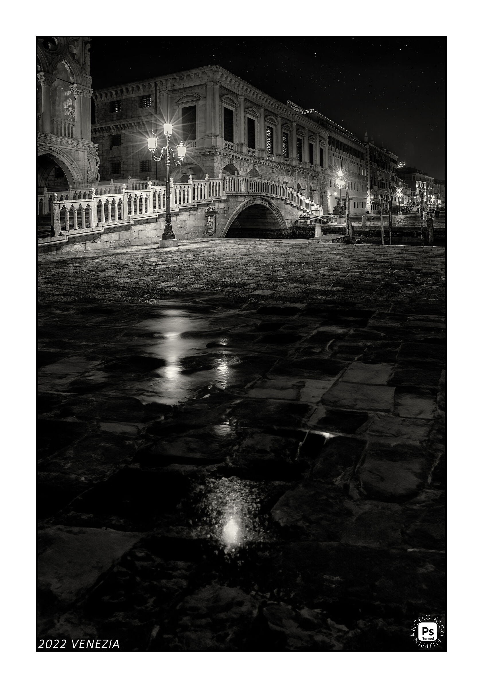 2022 VENICE