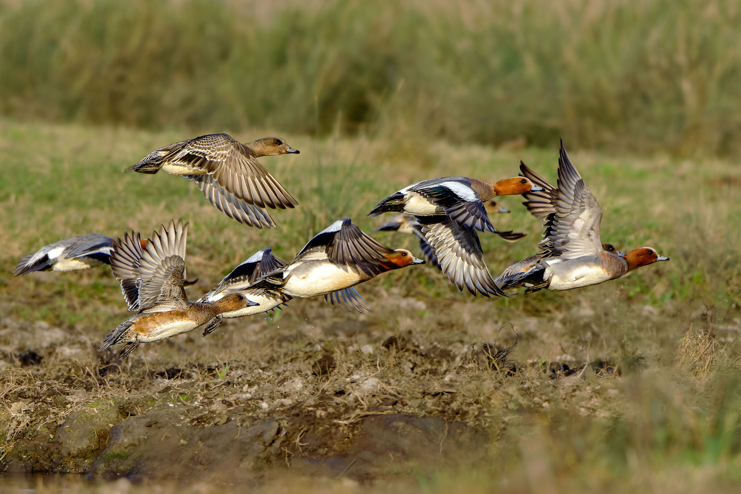 Dopo una bevuta, subito a mangiare!