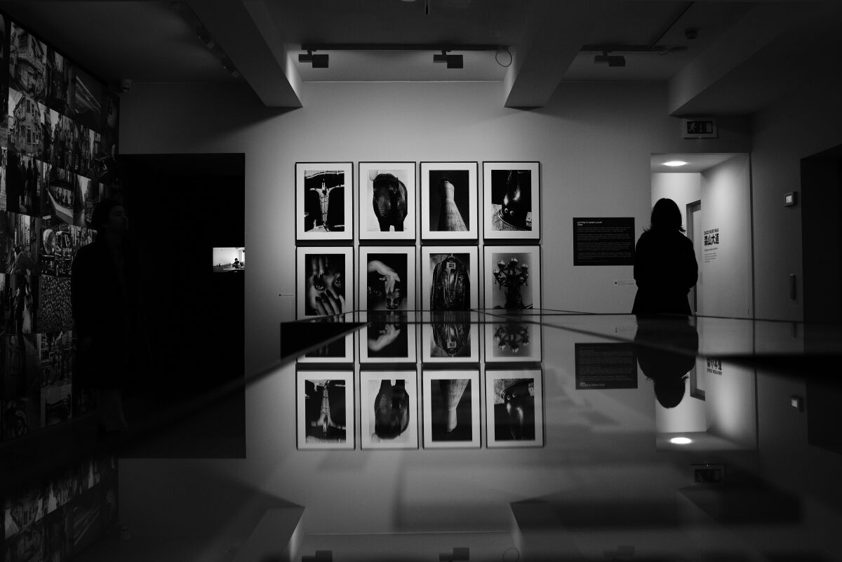 Daido Moriyama photo exhibition