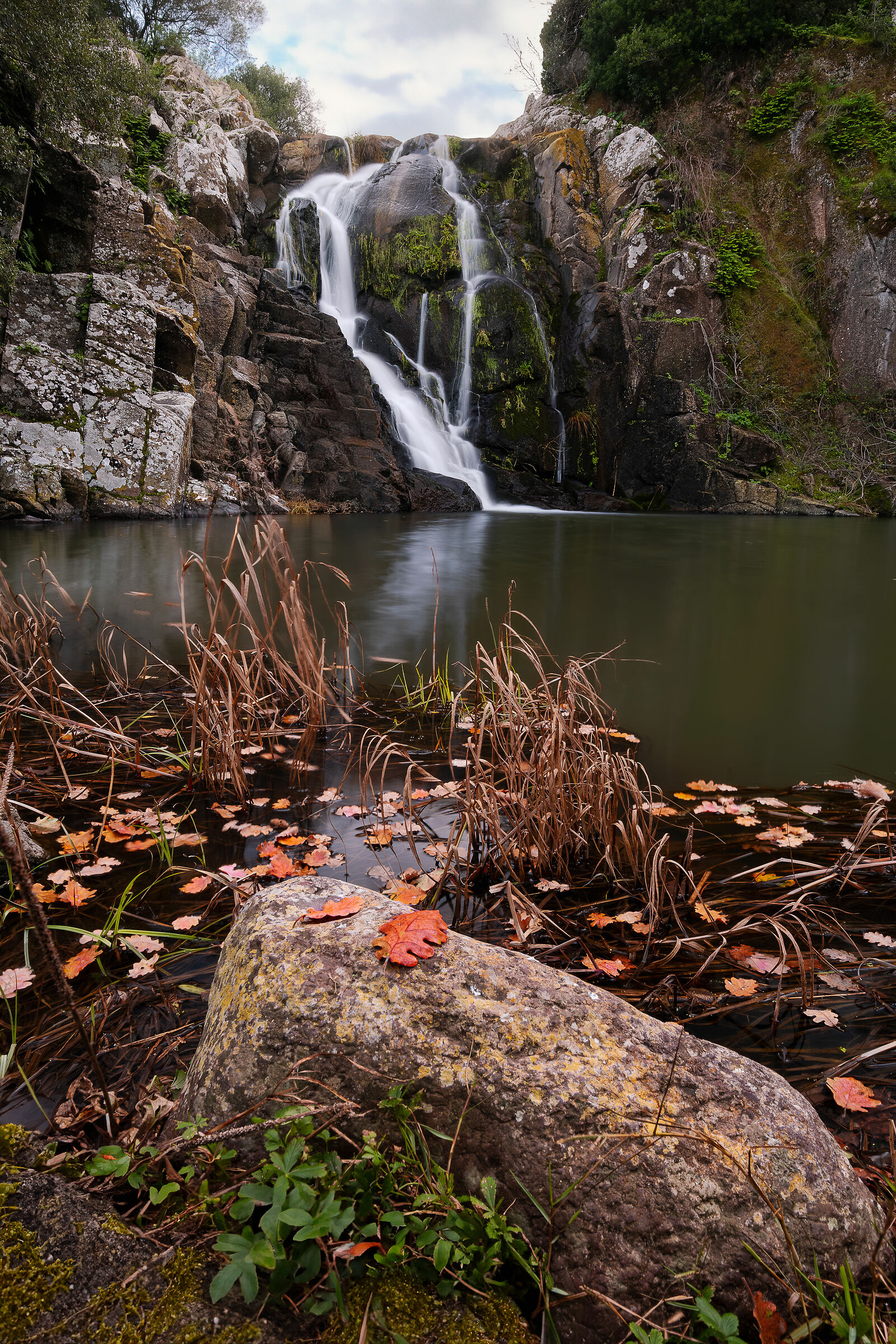 Vecchie foglie di qua di là si sente il suon di casca...